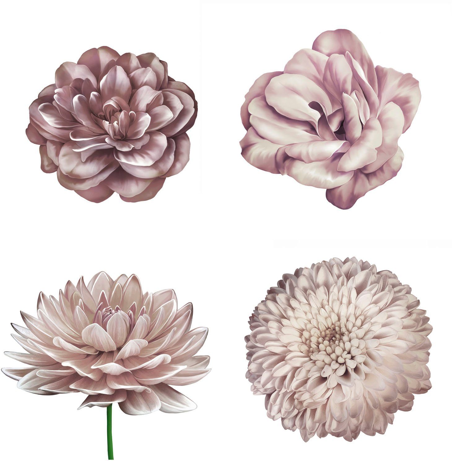 queence Wandtattoo Mila (1 St), Wandbild, Sticker, rosa, Blume, Blüte, selbstklebend