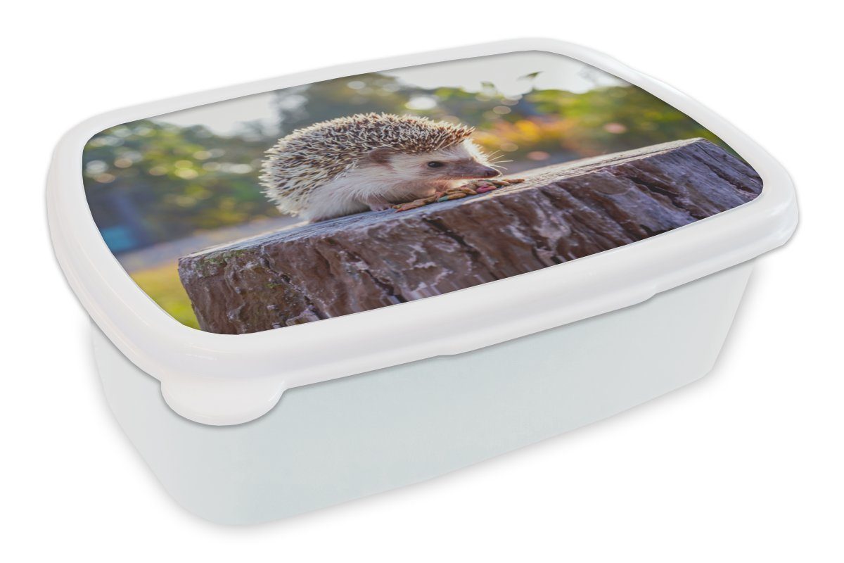 MuchoWow Lunchbox Essender Igel, Kunststoff, (2-tlg), Brotbox für Kinder und Erwachsene, Brotdose, für Jungs und Mädchen weiß