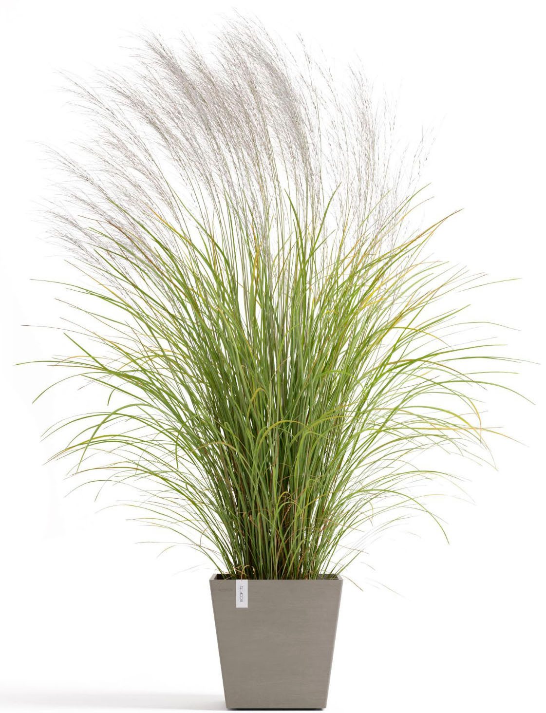 ECOPOTS Blumentopf Rotterdam 35 + Wassersystem Taupe, für innen und außen: günstig online kaufen