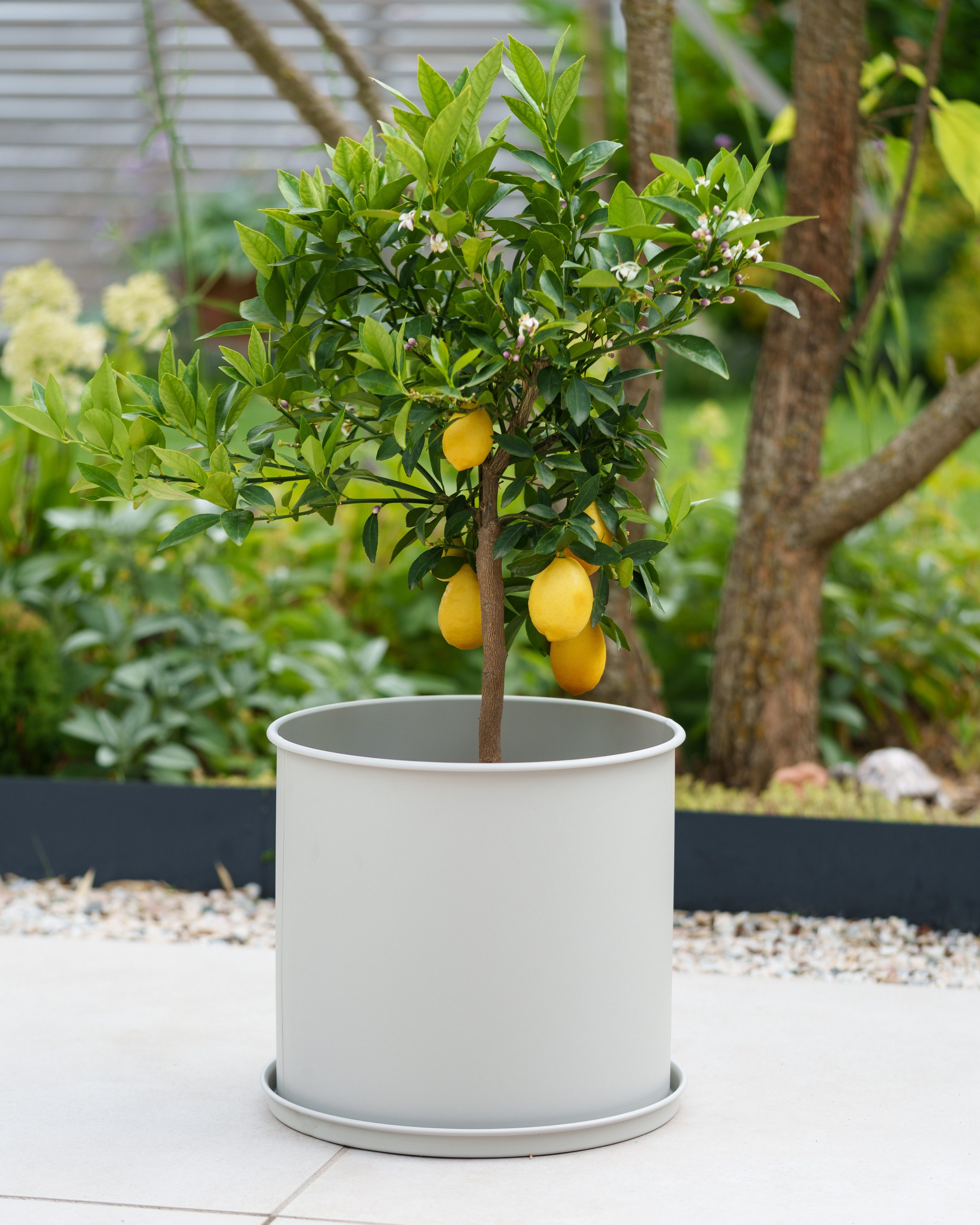 LIVLIG Blumentopf groß draußen, Übertopf für Pflanzen (3er-Set), UV-beständig, Ø25 cm, Ø31 cm, Ø40 cm, wetterfest, rostfrei