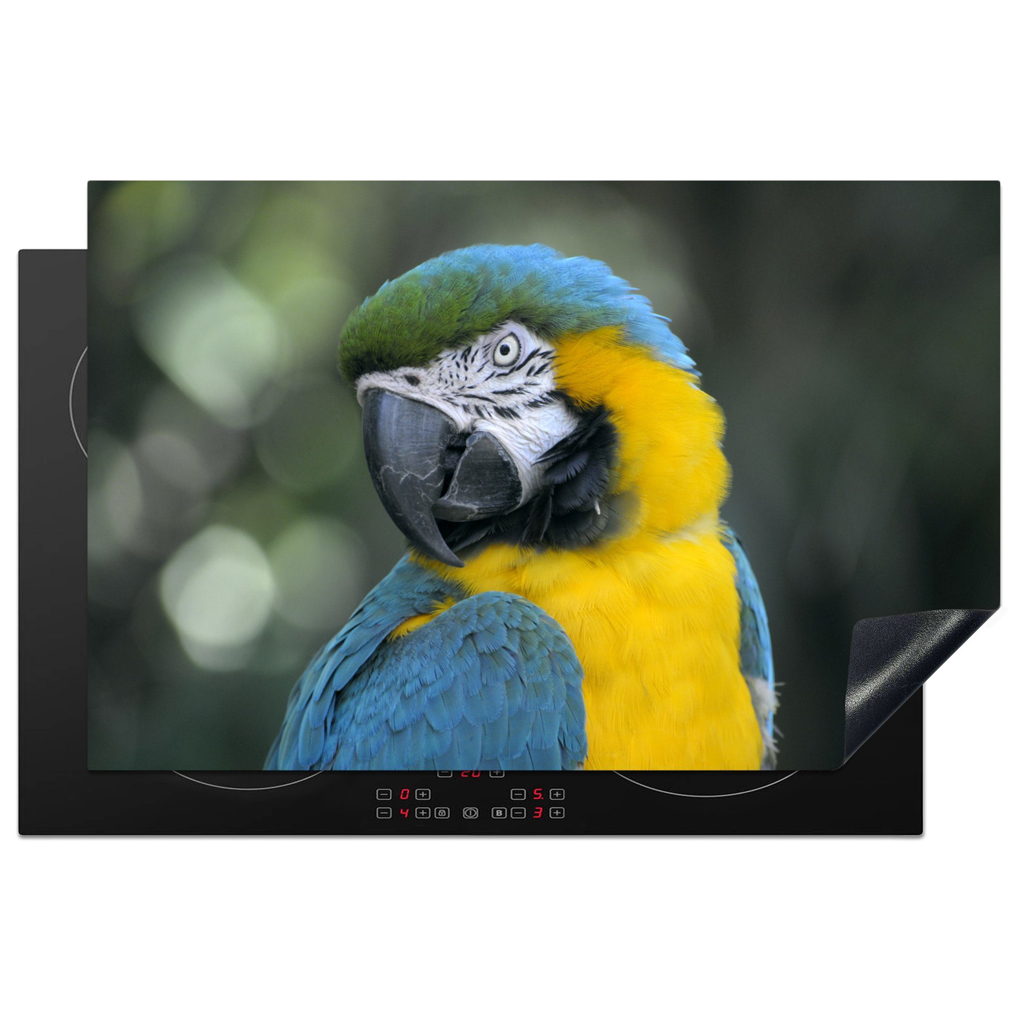 MuchoWow Herdblende-/Abdeckplatte Vogel - Papagei - Blau, Vinyl, (1 tlg), 81x52 cm, Induktionskochfeld Schutz für die küche, Ceranfeldabdeckung