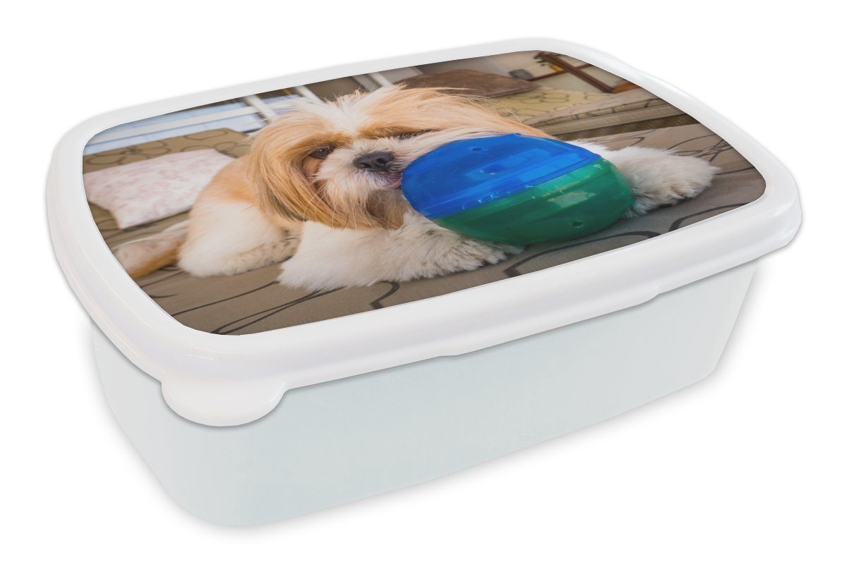 MuchoWow Lunchbox Ein Shih Tzu Hund spielt mit einem Ball, Kunststoff, (2-tlg), Brotbox für Kinder und Erwachsene, Brotdose, für Jungs und Mädchen weiß