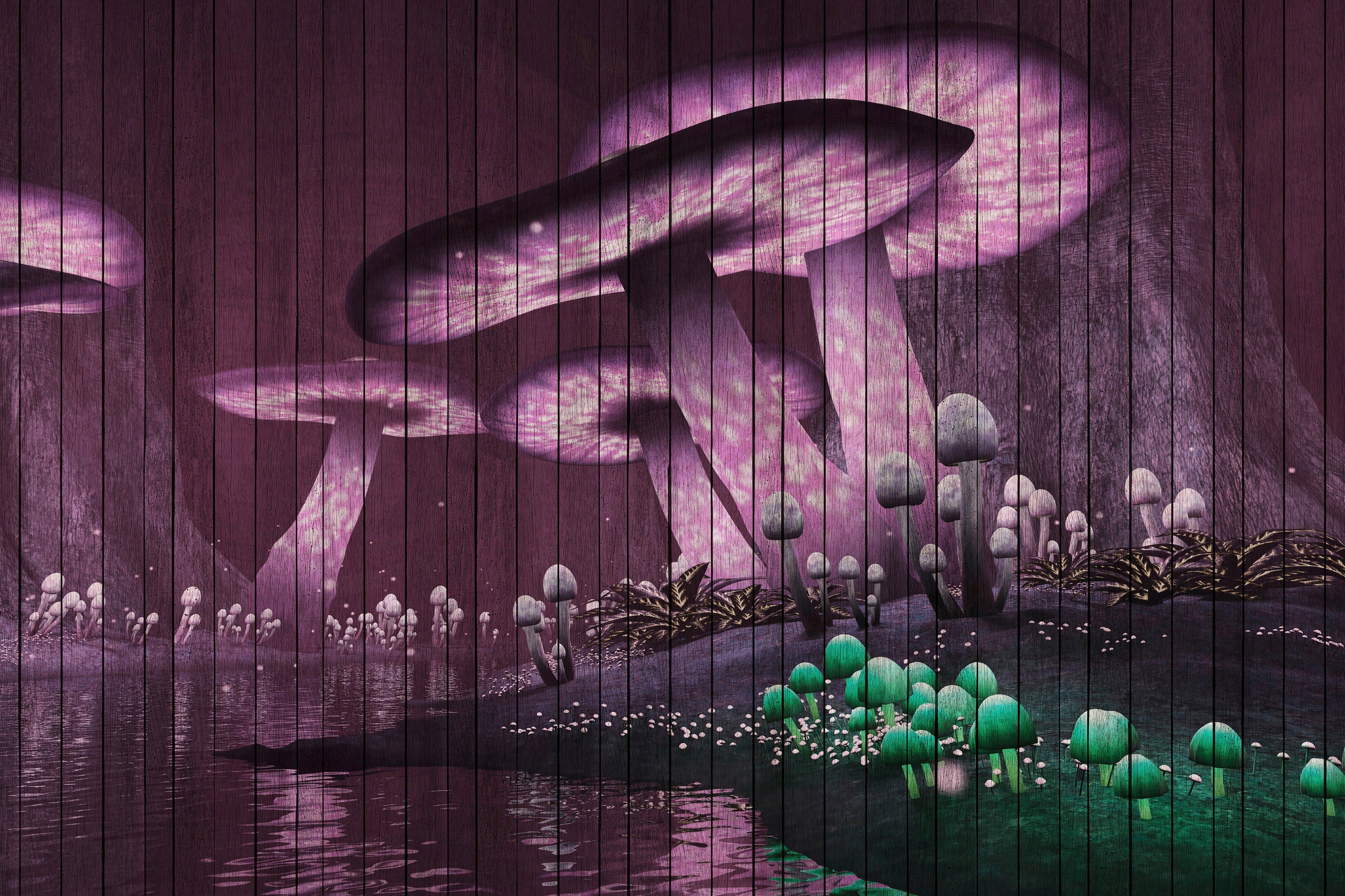(1 lila, Bild Fantasiewelt A.S. St), grün Holzoptik fantasy, Leinwandbild Keilrahmen Création Abstrakt