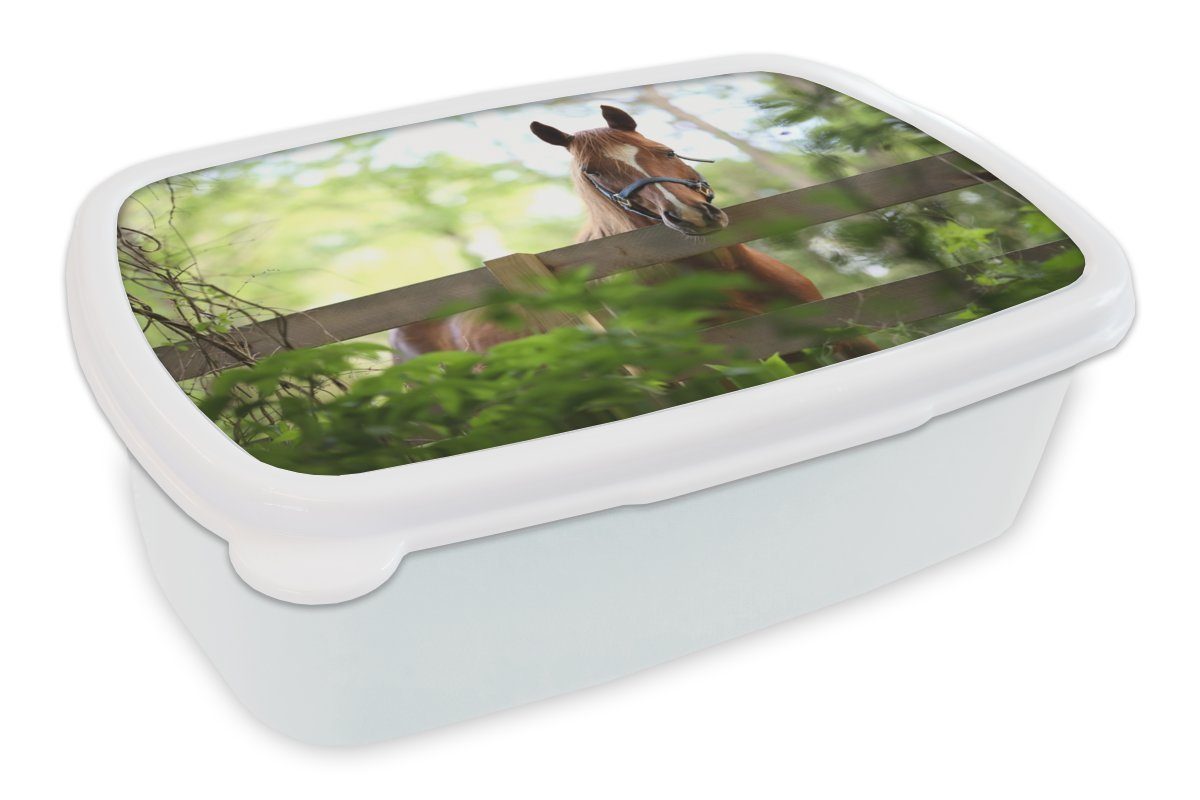 MuchoWow Lunchbox Pferd - Natur - Zaun, Kunststoff, (2-tlg), Brotbox für Kinder und Erwachsene, Brotdose, für Jungs und Mädchen weiß
