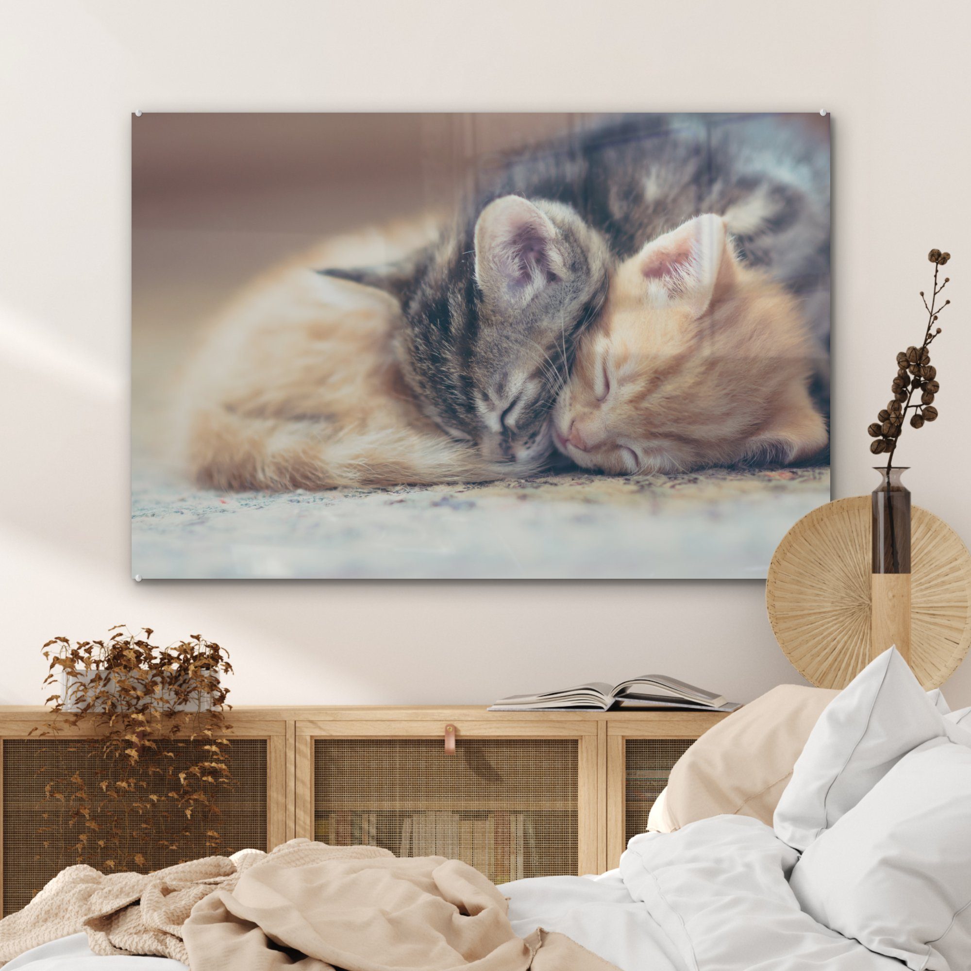 Kätzchen, Acrylglasbild St), Acrylglasbilder Wohnzimmer Schlafzimmer & (1 Schlafende MuchoWow