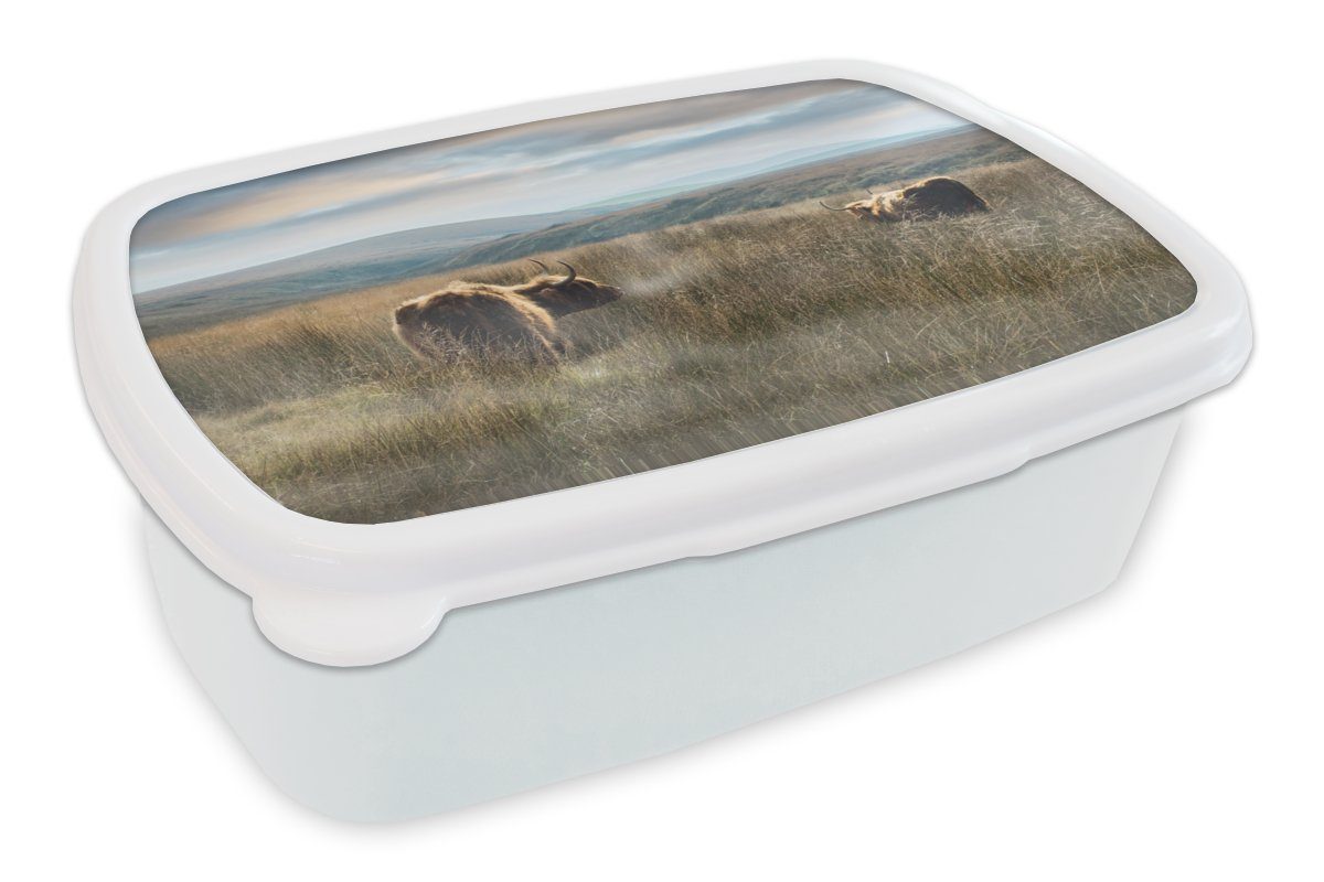 MuchoWow Lunchbox Schottische Highlander - Nebel - Gras, Kunststoff, (2-tlg), Brotbox für Kinder und Erwachsene, Brotdose, für Jungs und Mädchen weiß