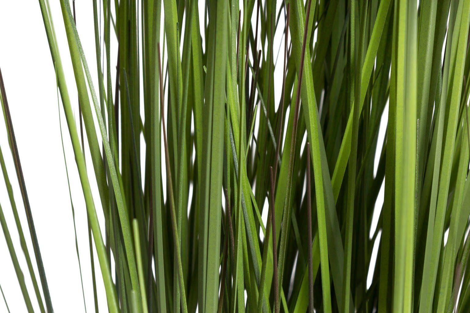 Kunstgras Gras Festuca Gras, Botanic-Haus, Höhe 86 cm günstig online kaufen