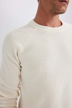 DeFacto Strickpullover Herren Strickpullover STANDART FIT