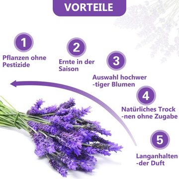 Trockenblume 8x Lavendelsäckchen, GelldG
