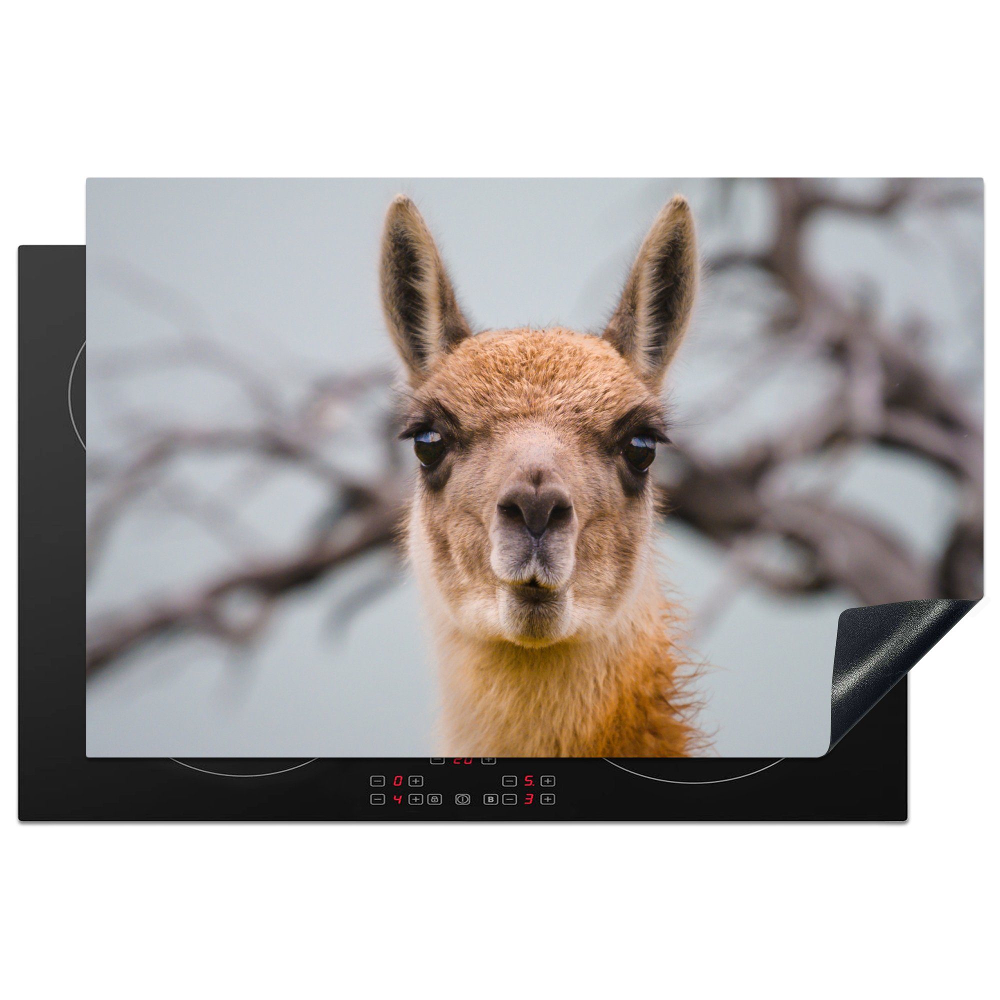 MuchoWow Herdblende-/Abdeckplatte Lama - Selfie - Boom, Vinyl, (1 tlg), 81x52 cm, Induktionskochfeld Schutz für die küche, Ceranfeldabdeckung | Herdabdeckplatten