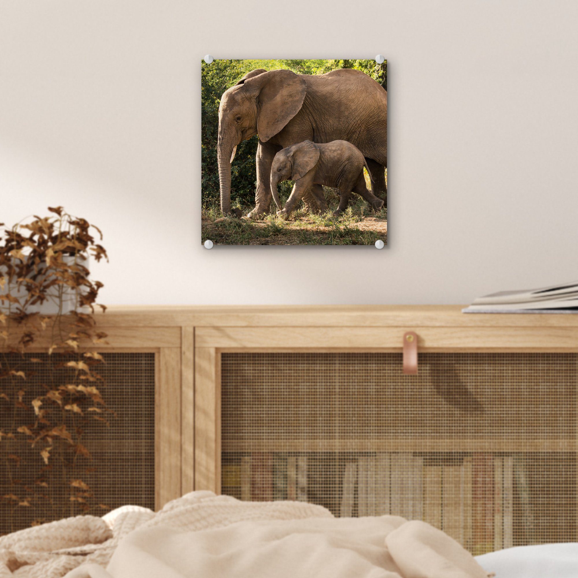 Wanderndes Wandbild seiner St), Elefantenbaby - Mutter, Glasbilder - Glas Wanddekoration MuchoWow - (1 Glas auf Acrylglasbild Bilder Foto auf mit