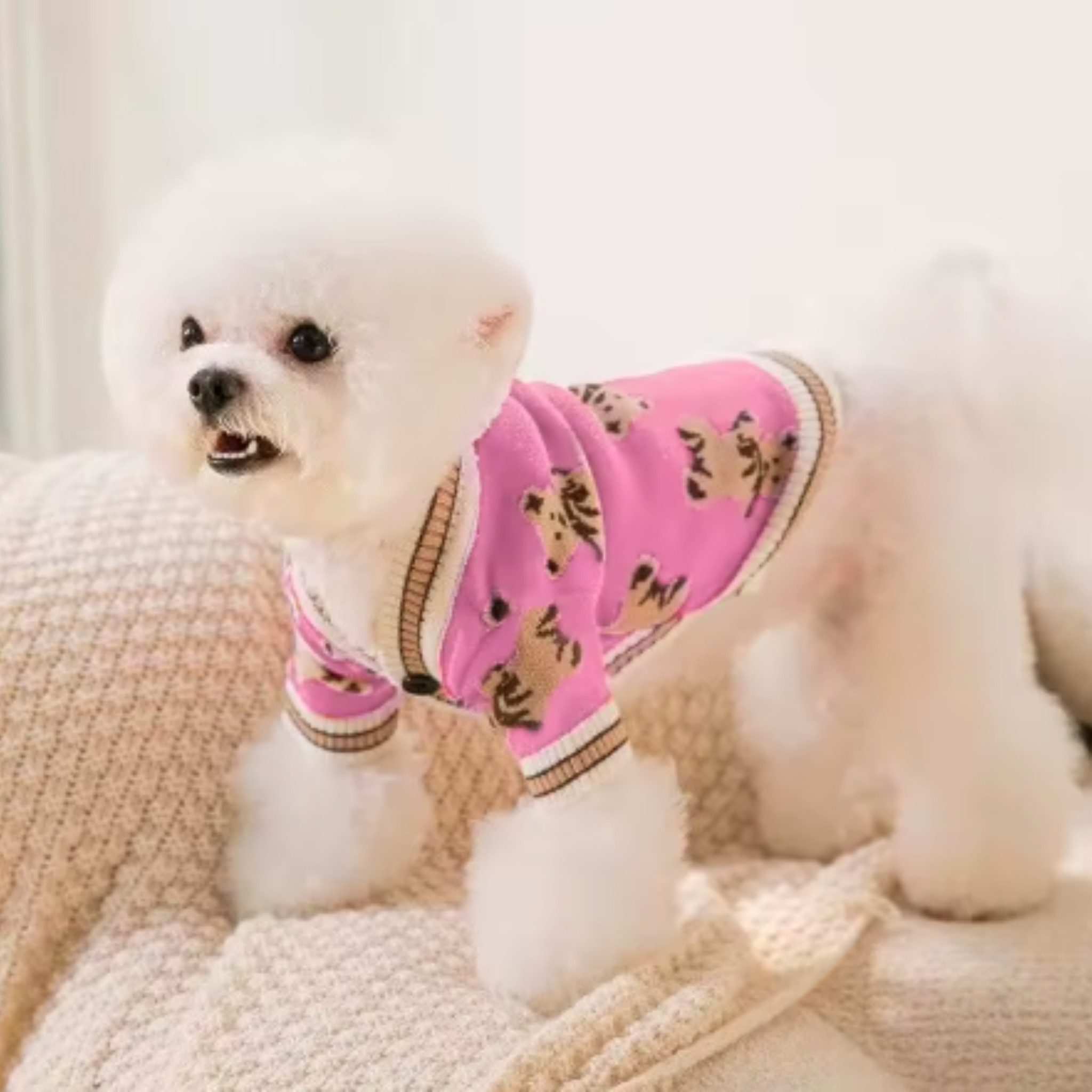 FLOCKI Pets™ Hundepullover Hunde Strickpullover, für Hunde in verschiedenen Größen, niedliches Teddy-Bär Design