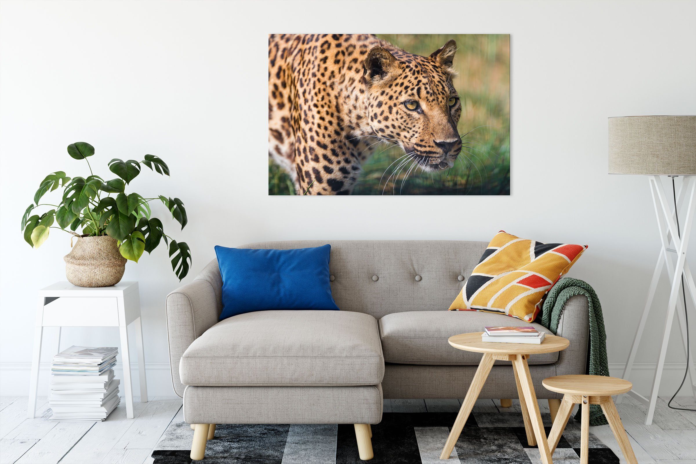 Leopard schleichender Leinwandbild Zackenaufhänger bespannt, inkl. Pixxprint Leinwandbild fertig Leopard, St), schleichender (1