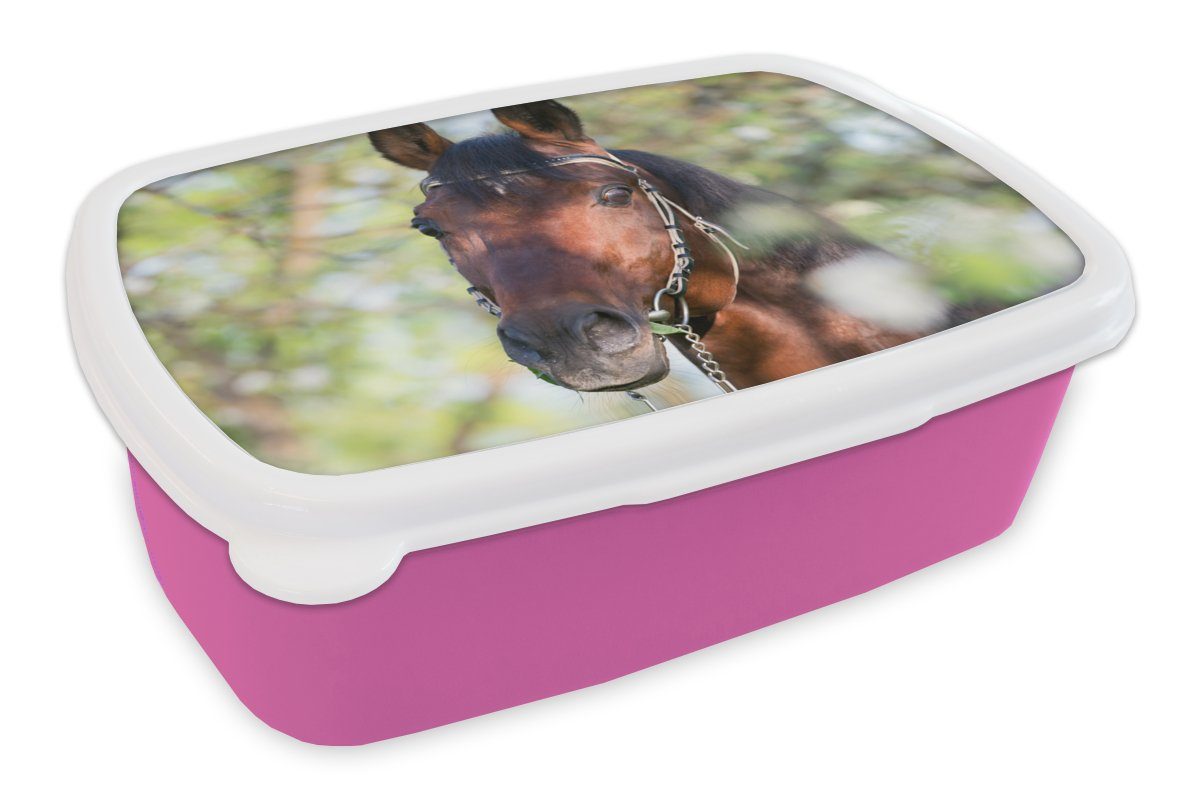 MuchoWow Lunchbox Pferde - Blüte - Frühling - Tiere, Kunststoff, (2-tlg), Brotbox für Erwachsene, Brotdose Kinder, Snackbox, Mädchen, Kunststoff rosa