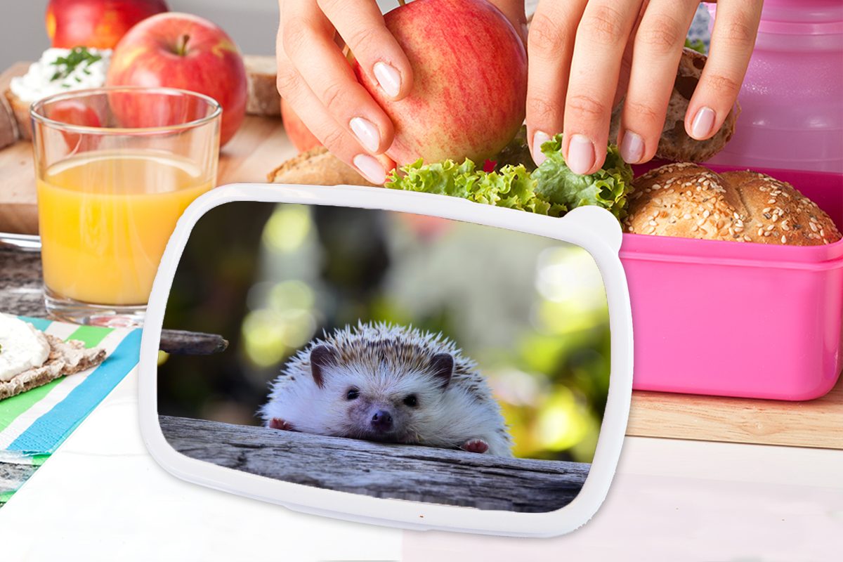 Kunststoff, Lunchbox Erwachsene, Mädchen, Kunststoff Holz, liegt (2-tlg), auf MuchoWow Brotdose Snackbox, Kinder, Brotbox für rosa Igel