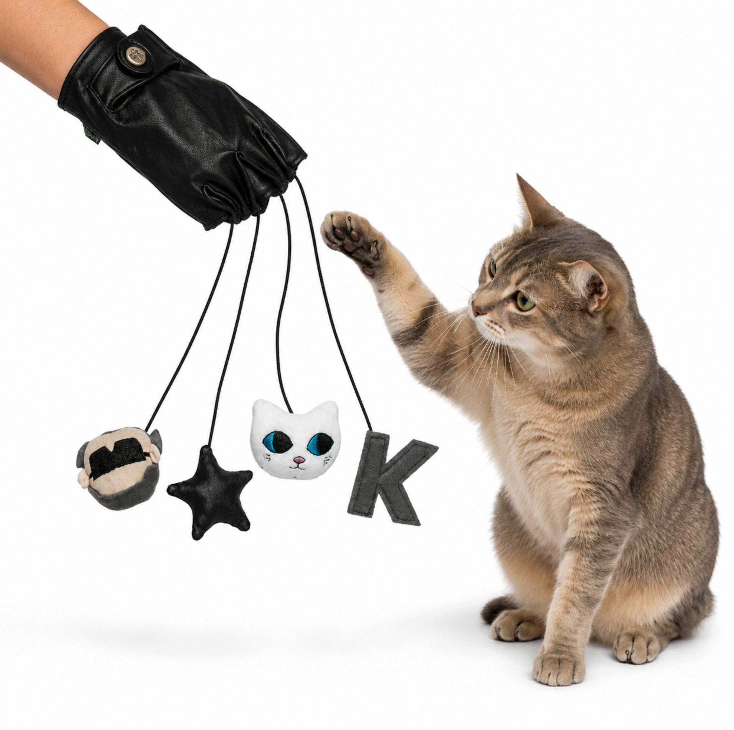 KARL LAGERFELD Katzenspielrad Haustiere Hund Katze Interaktiv Handschuhe Spielzeug Spiel