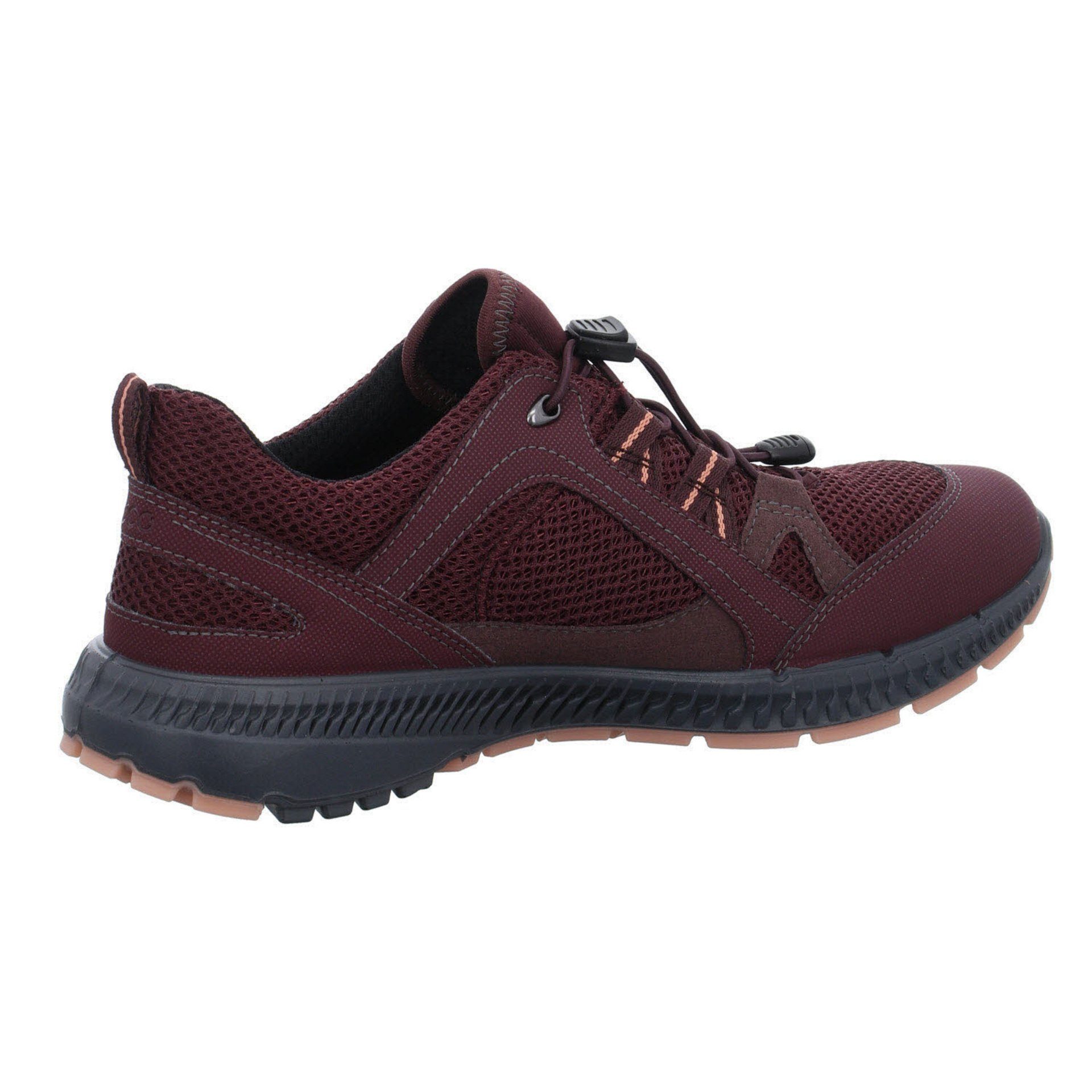 Damen Ecco Outdoor FIG/FIG Terracruise Outdoorschuh GTX Synthetikkombination Outdoorschuh Schuhe