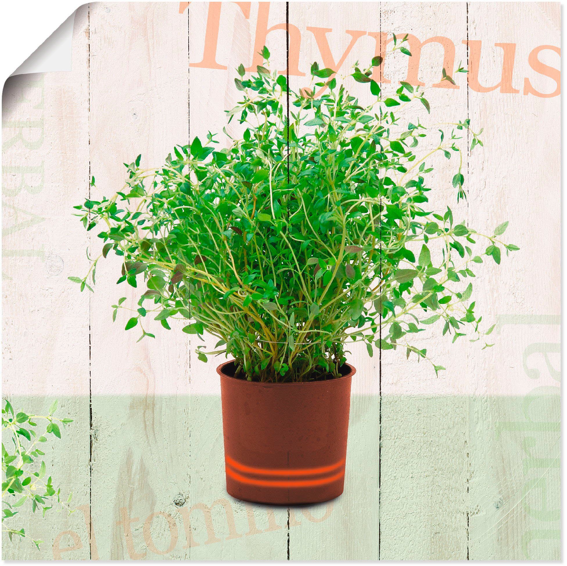 Artland Плакат Thymian, Pflanzen (1 St), ohne Rahmen