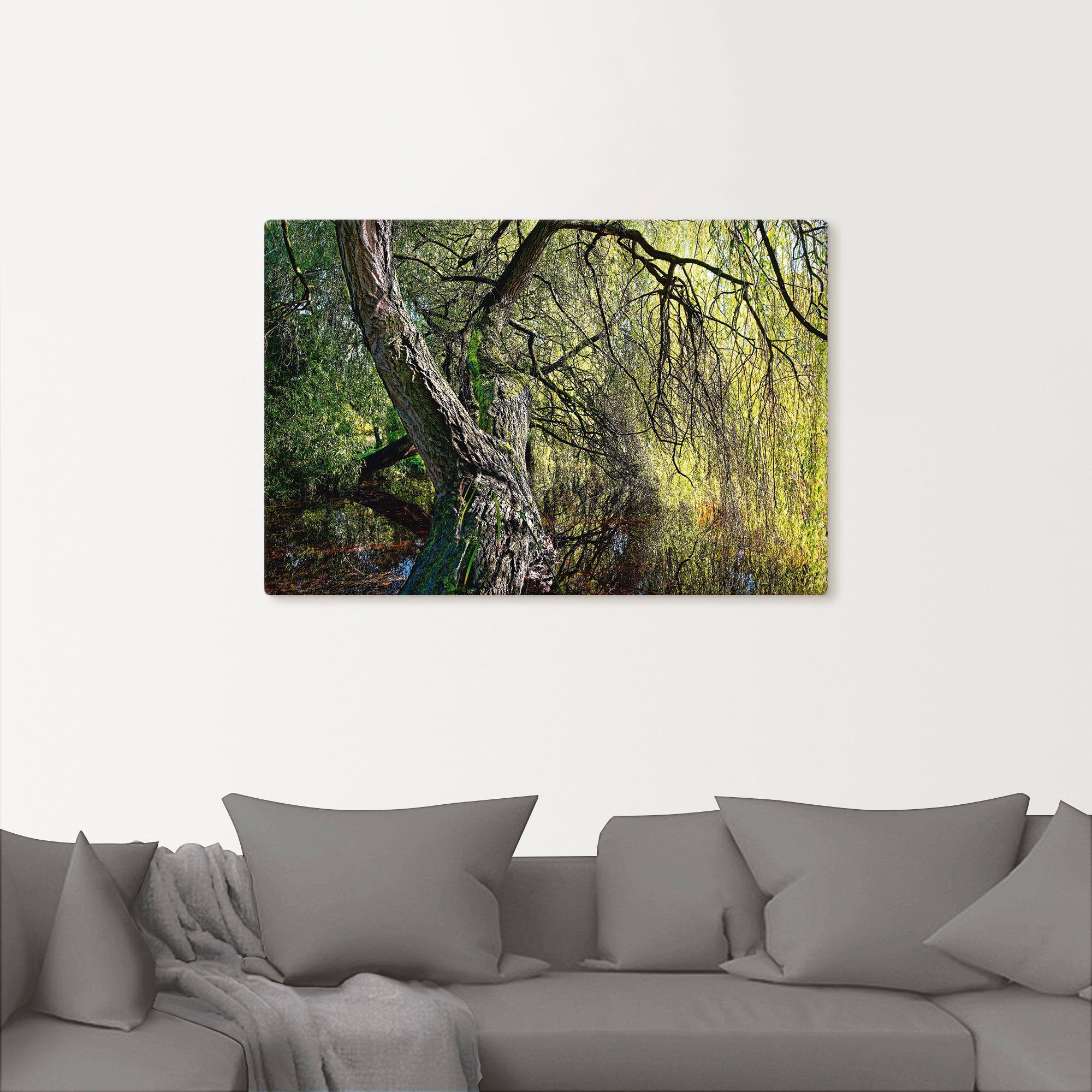 Artland Wandbild »Weidenbaum«, Baumbilder (1 Stück), in vielen Größen & Produktarten - Alubild / Outdoorbild für den Außenbereich, Leinwandbild, Poster, Wandaufkleber / Wandtattoo auch für Badezimmer geeignet-kaufen