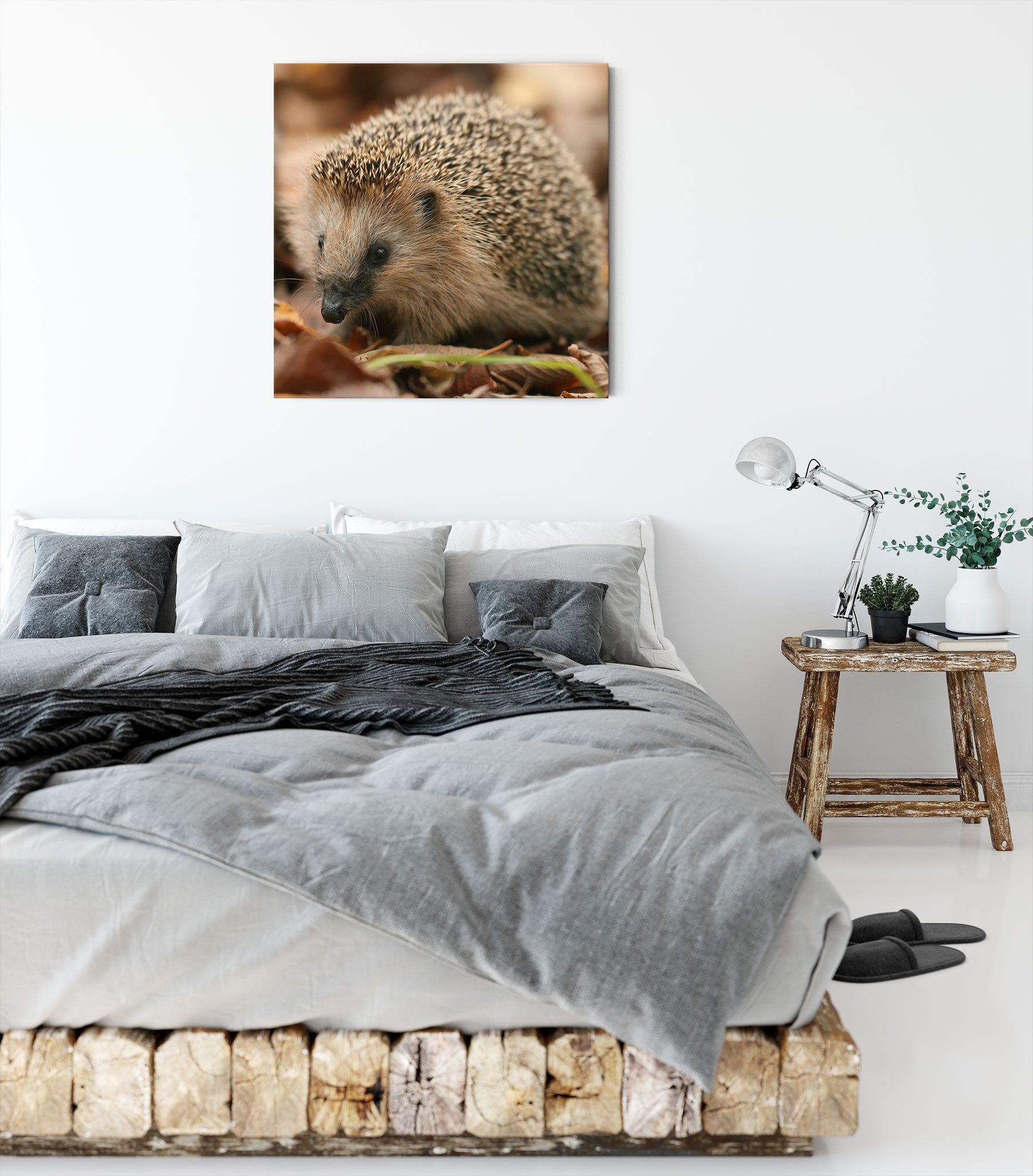 Igel Leinwandbild Kleiner Pixxprint Leinwandbild inkl. (1 St), fertig Kleiner Igel, bespannt, Zackenaufhänger