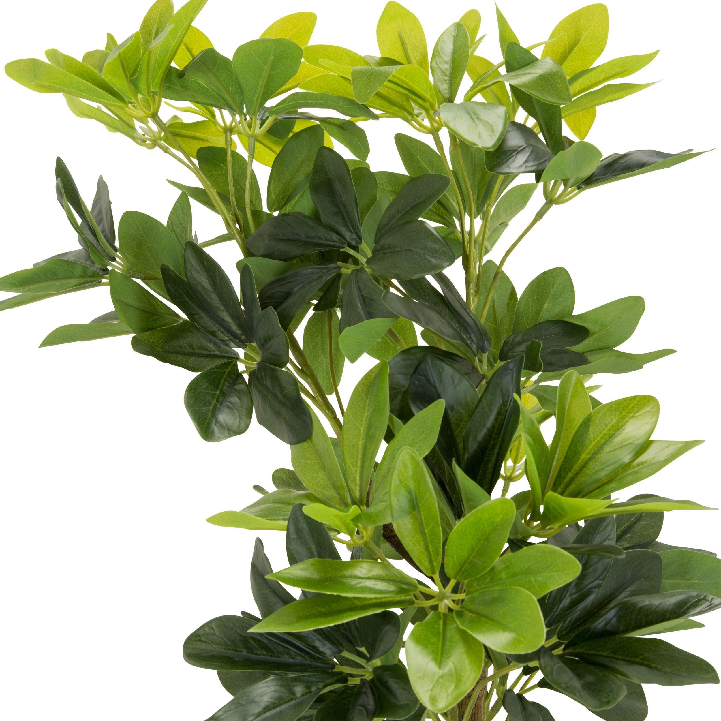 100 Zimmerpflanze Pflanzen, Deko für bümö, Kunstpflanze: cm, Künstliche und / Höhe außen Strahlenaralie Schefflera innen-