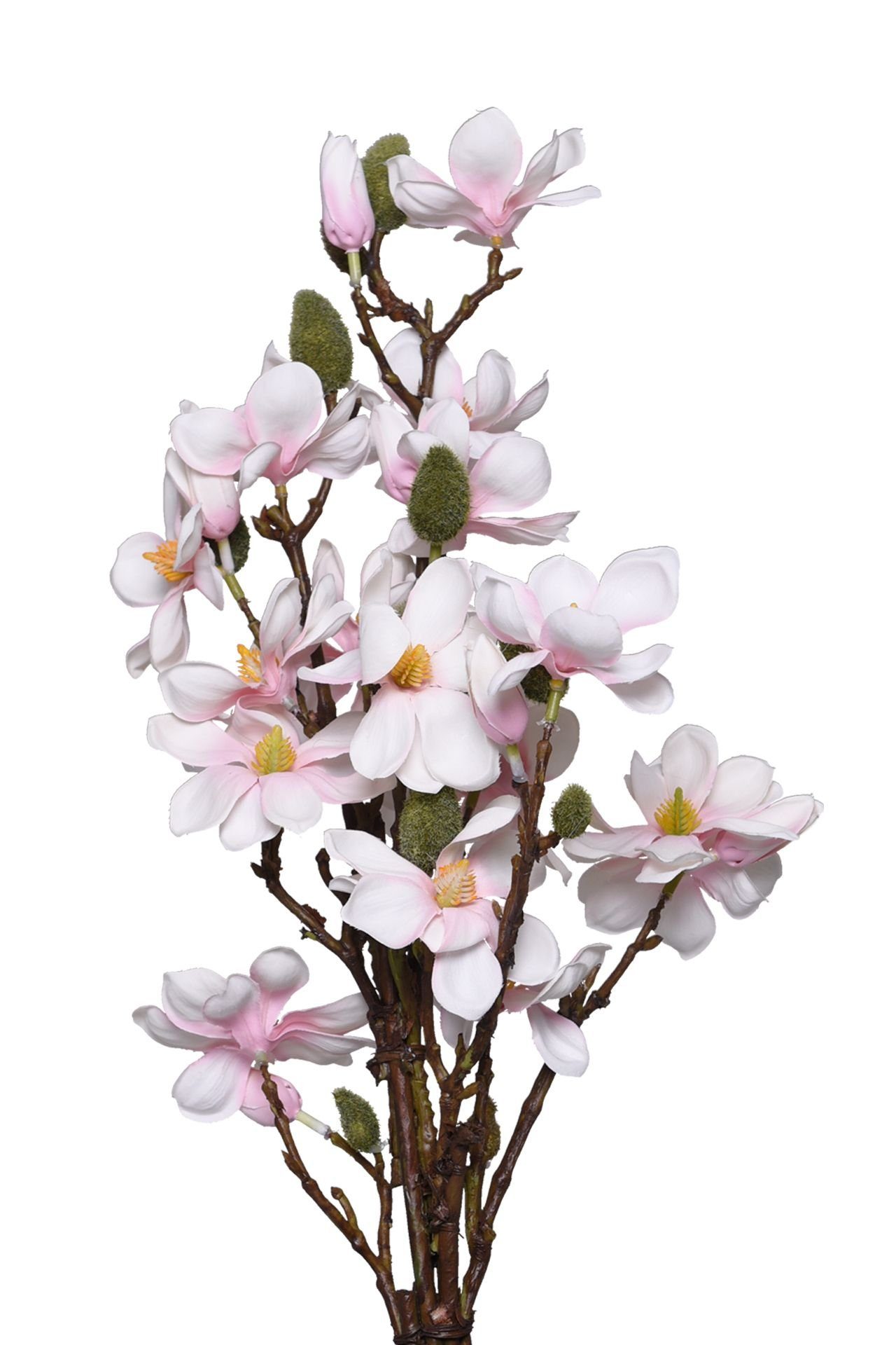 Kunstpflanze Kunstpflanze Kunstblume Creme in und VIVANNO, Blüten MAGNOLIA, cm im 55 Topf Höhe mit Rosa