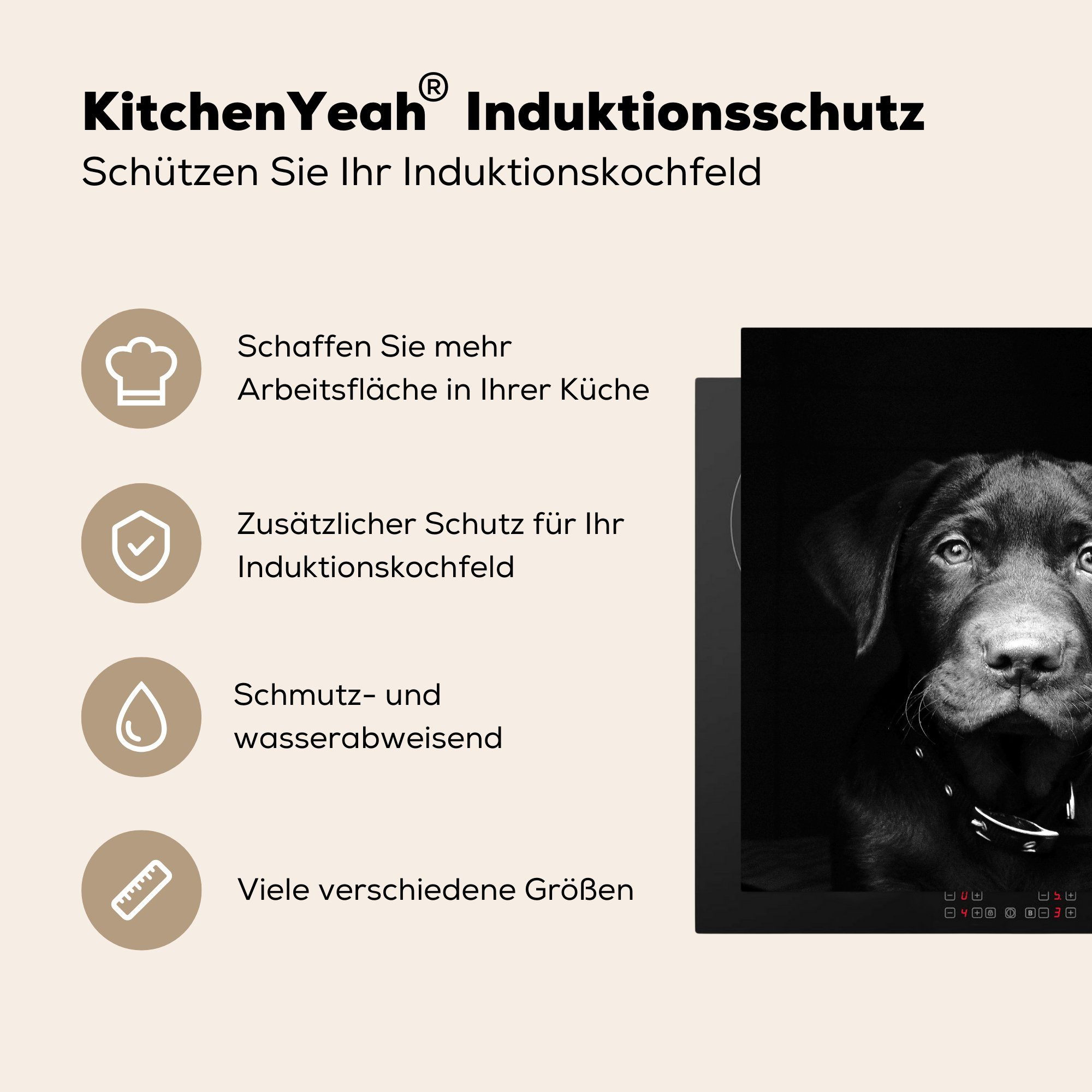 schwarz für Ceranfeldabdeckung, in 78x78 küche Arbeitsplatte tlg), Vinyl, (1 Hund Herdblende-/Abdeckplatte und MuchoWow Tierprofil weiß, cm,