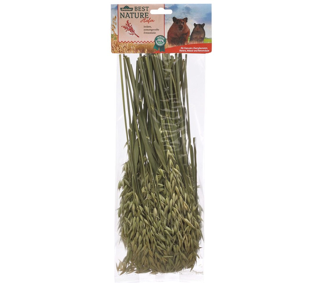 Dehner Best Nature Knabberzweige, Nagersnack, versch. Sorten, für: Nager, Ergänzungsfutter für Hasen, Hamster, Meerschweinchen, Degu, Kaninchen