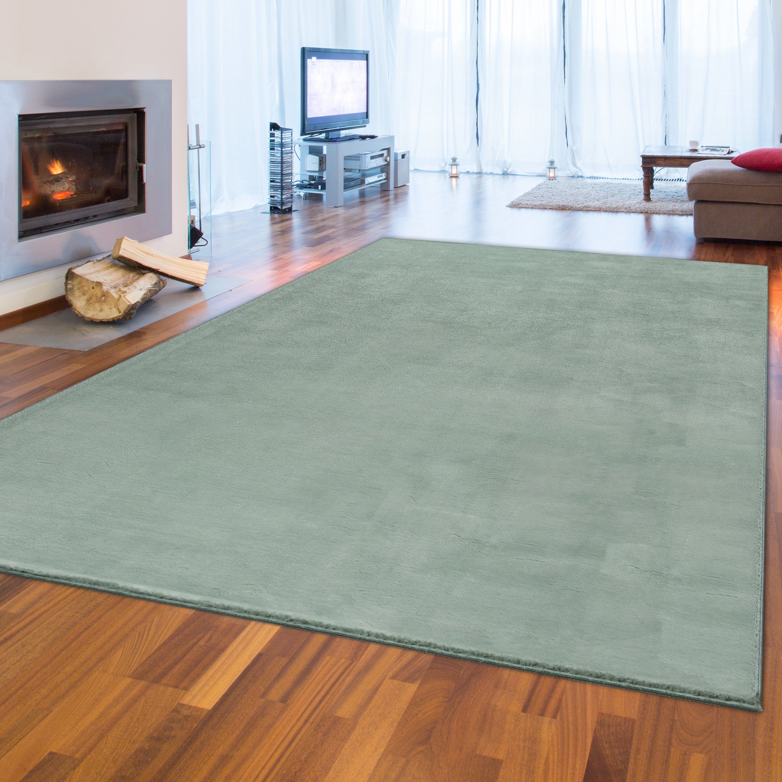 Teppich Modern flauschiger Teppich in schönem hellgrün, Teppich-Traum, rechteckig, Höhe: 16 mm