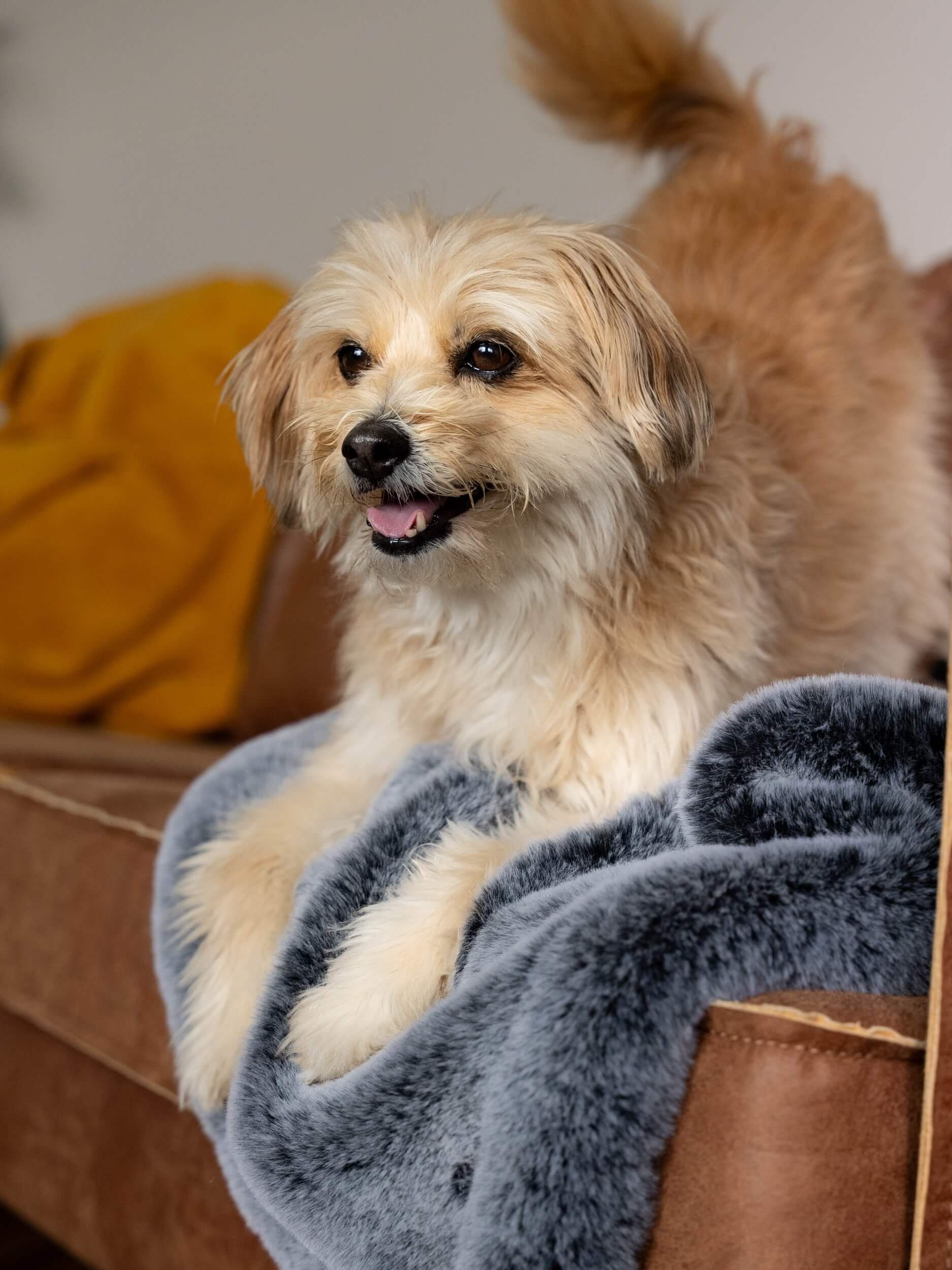 TrendPet Tierdecke Felldecke "Yuma", 100% Polyester, verschiedene Größen