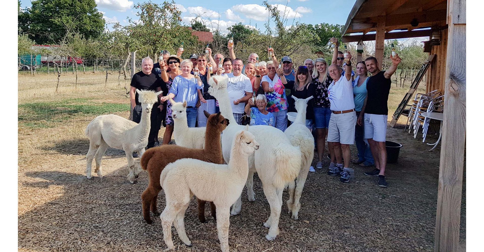 Jochen Schweizer Erlebnisgutschein Weintasting auf der Alpakaweide, Wein trifft Alpaka – Genuss im Weinbergparadies