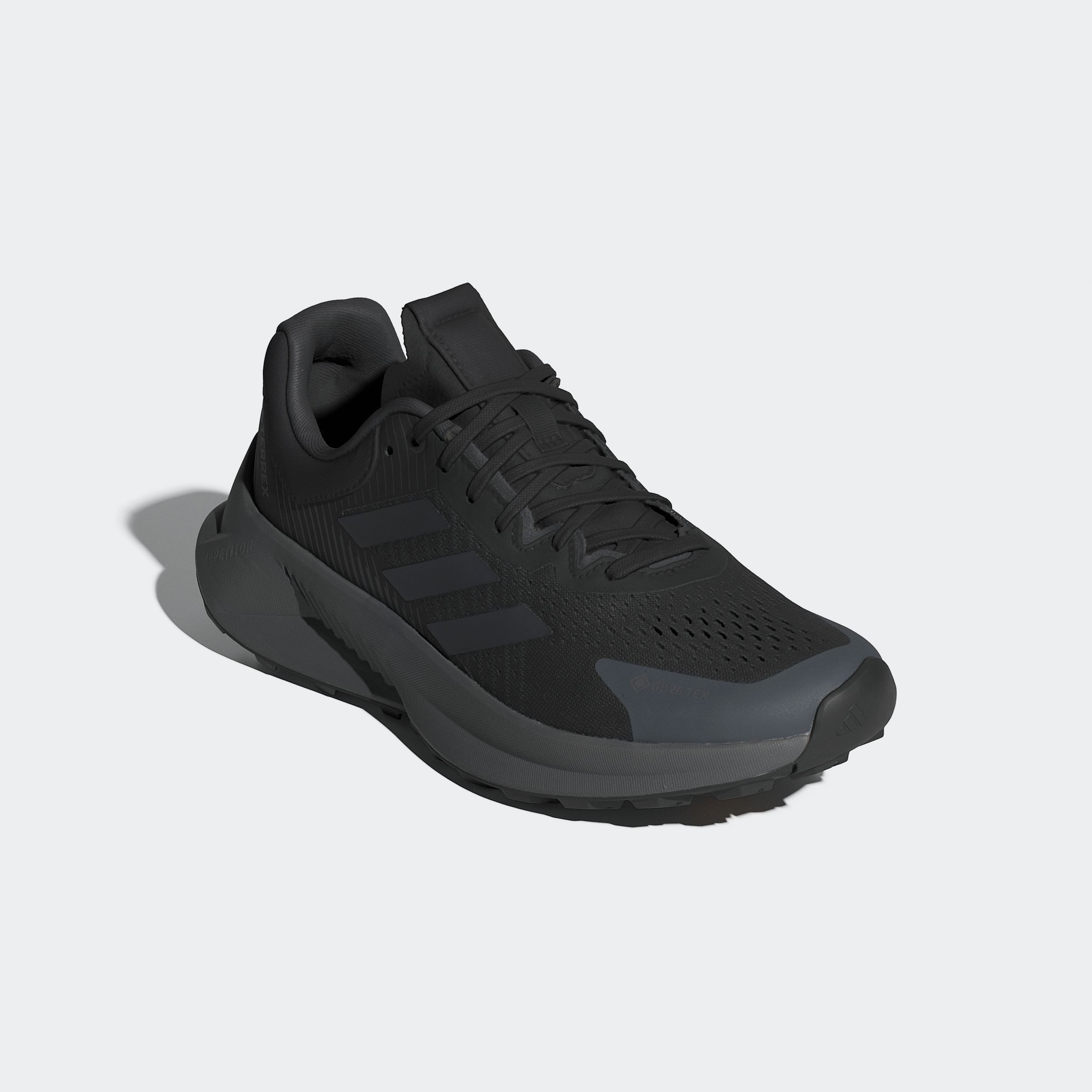 TERREX SOULSTRIDE FLOW GORE-TEX TRAILRUNNING Laufschuh