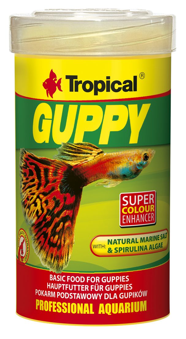 Tropical Guppy, für: Guppys