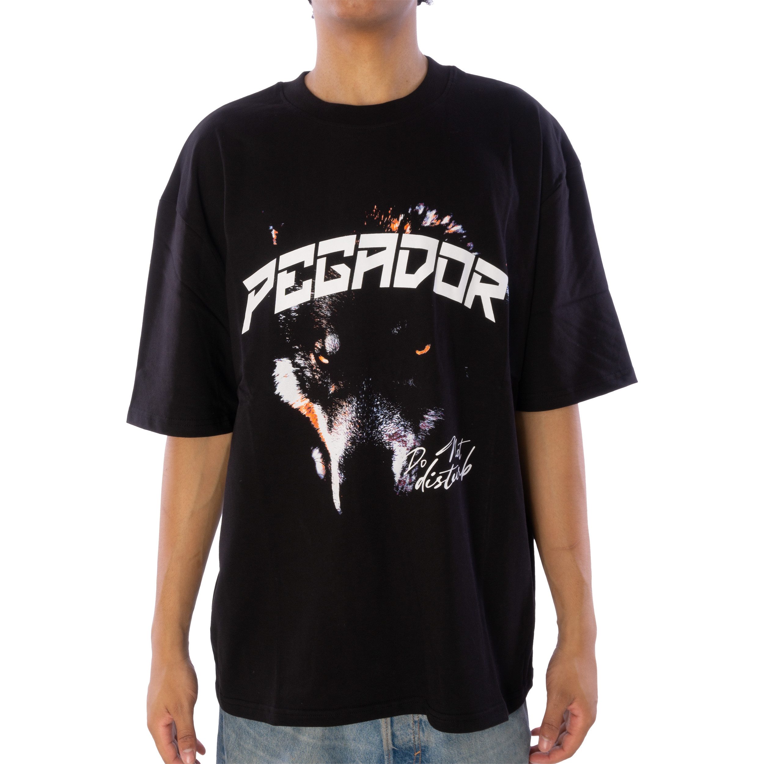 PEGADOR T-Shirt T-Shirt Pegador Donora Oversized günstig online kaufen
