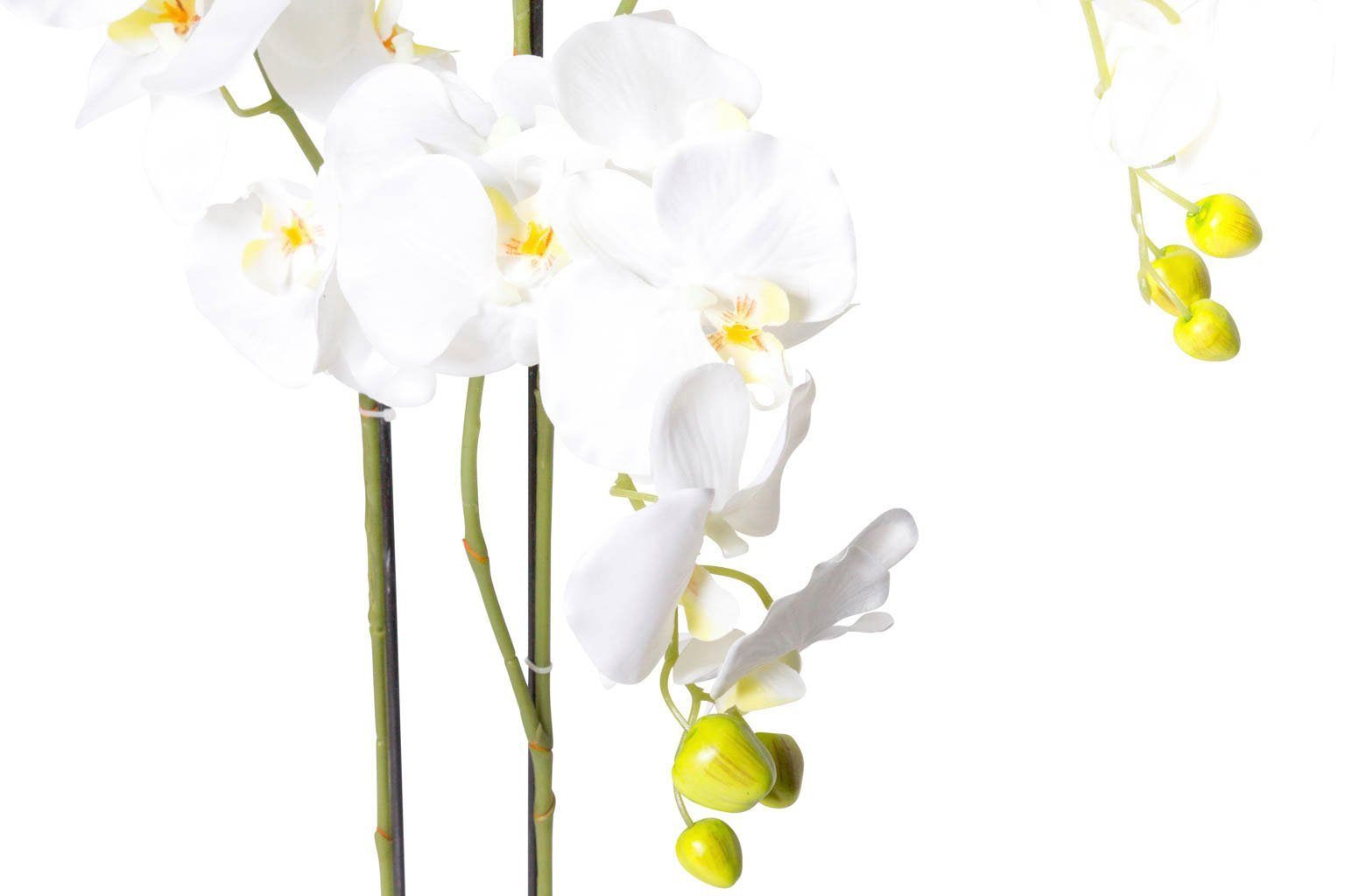 Orchidee Orchidee, Höhe cm Kunstorchidee 110 Botanic-Haus,