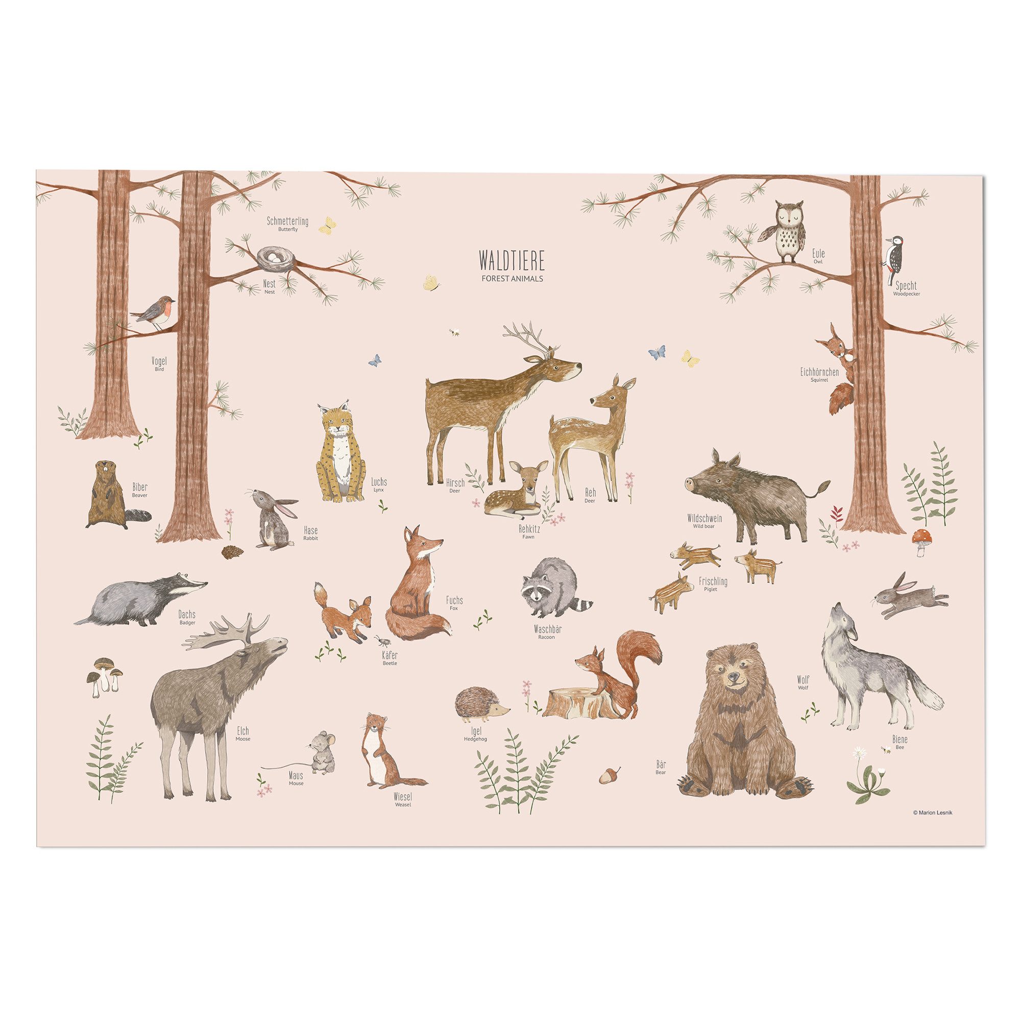 scriptum Poster Waldtiere Poster Kinder - Lernposter Rosa Kinderzimmer 50x70 cm, (1 St), Made in Germany