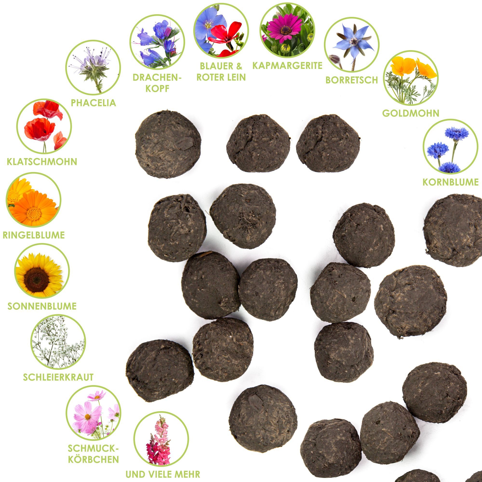 Bienenmagnet Blumensamen 12x Samenbomben (bunte Bienenweide) - Farbenfrohe Seedbombs, Seedbombs
