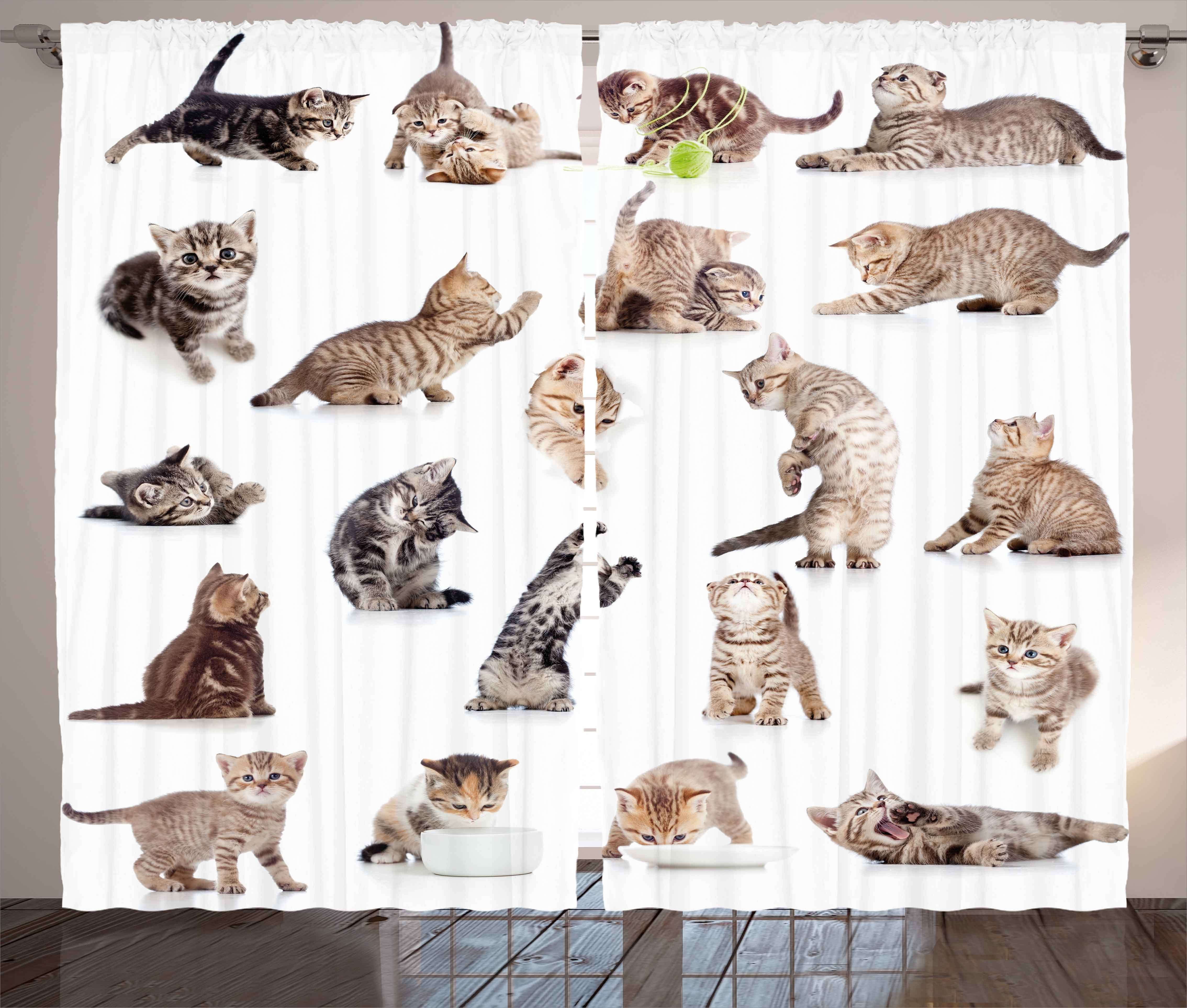 Gardine Schlafzimmer Kräuselband Vorhang mit Schlaufen und Haken, Abakuhaus, Katze Lustige Spielerische Katzen Bild | Fertiggardinen
