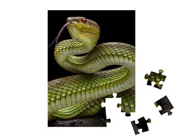 puzzleYOU Puzzle Grüne Goldhaut-Vipernatter, 48 Puzzleteile, puzzleYOU-Kollektionen Schlangen, Tiere in Dschungel & Regenwald