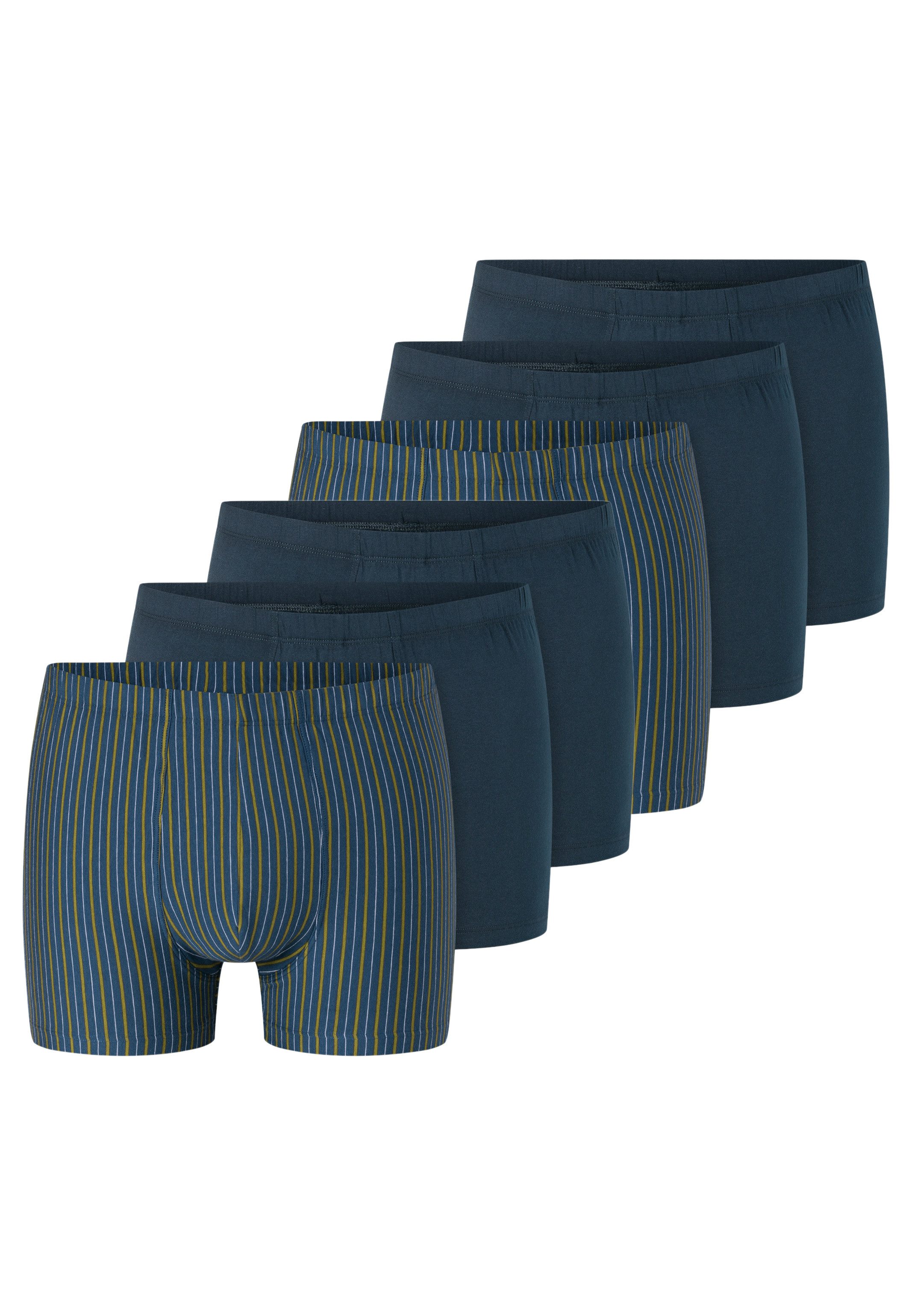 Retro Boxer 6er Pack 95/5 Essentials - Organic Cotton