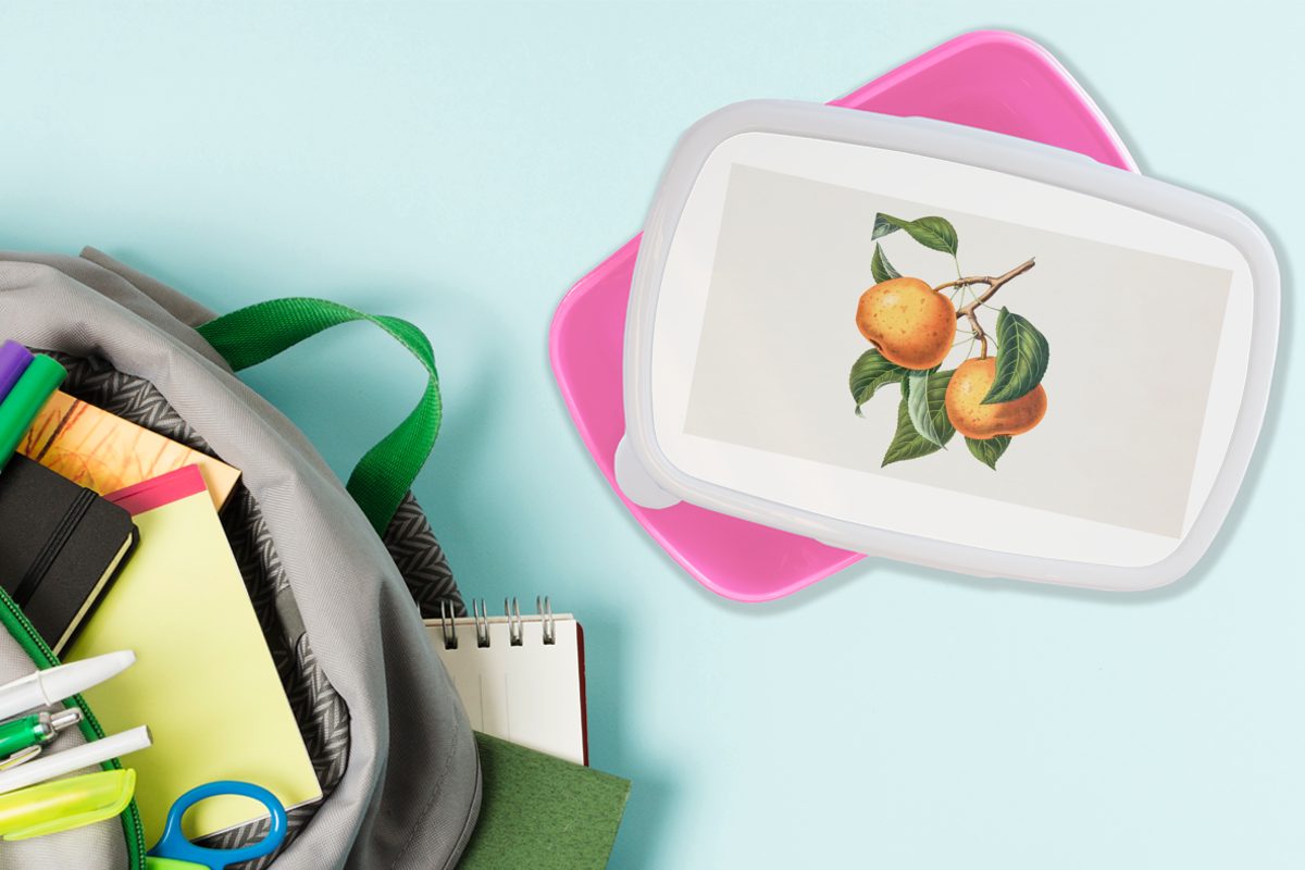 Erwachsene, (2-tlg), Snackbox, Mädchen, Kunststoff, Brotbox rosa Brotdose Blatt MuchoWow Pflanze, Orange - Lunchbox Kinder, für - Kunststoff