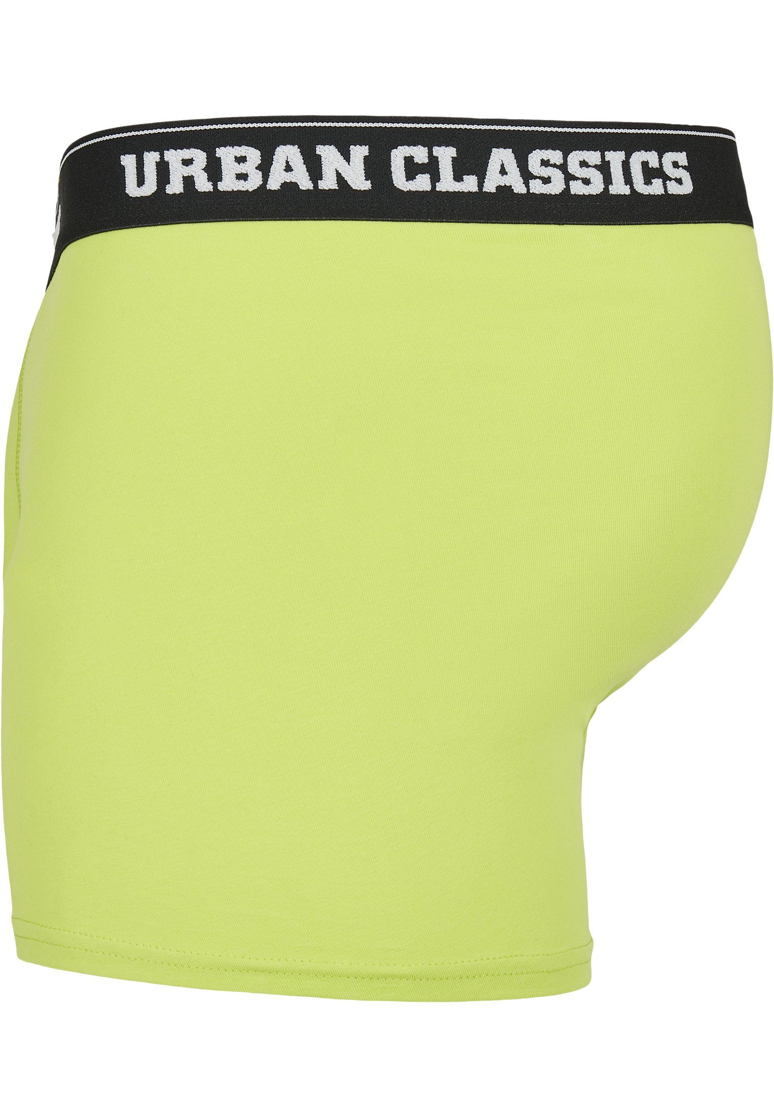 Boxershorts Shorts island Boxer aop URBAN (1-St) grey 3-Pack Herren lime CLASSICS