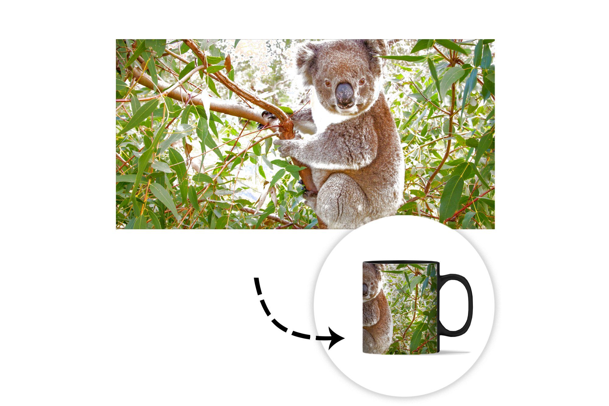 MuchoWow Tasse Koala Kaffeetassen, - - Zaubertasse, - Teetasse, Farbwechsel, Geschenk Jungen Mädchen, Keramik, Kinder Blätter 