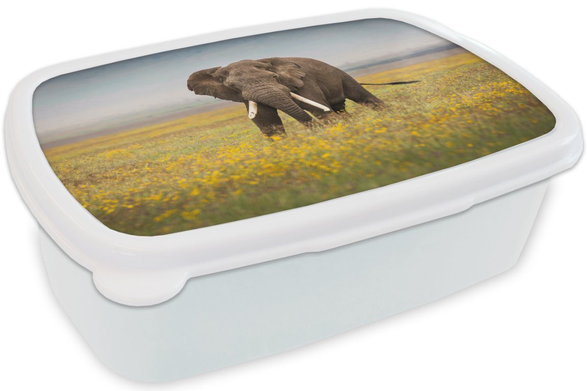 - Erwachsene, Kunststoff, weiß Blumen Lunchbox und und Tiere - Natur, für Brotbox MuchoWow Jungs Brotdose, für Mädchen Elefant - Gras (2-tlg), Kinder -
