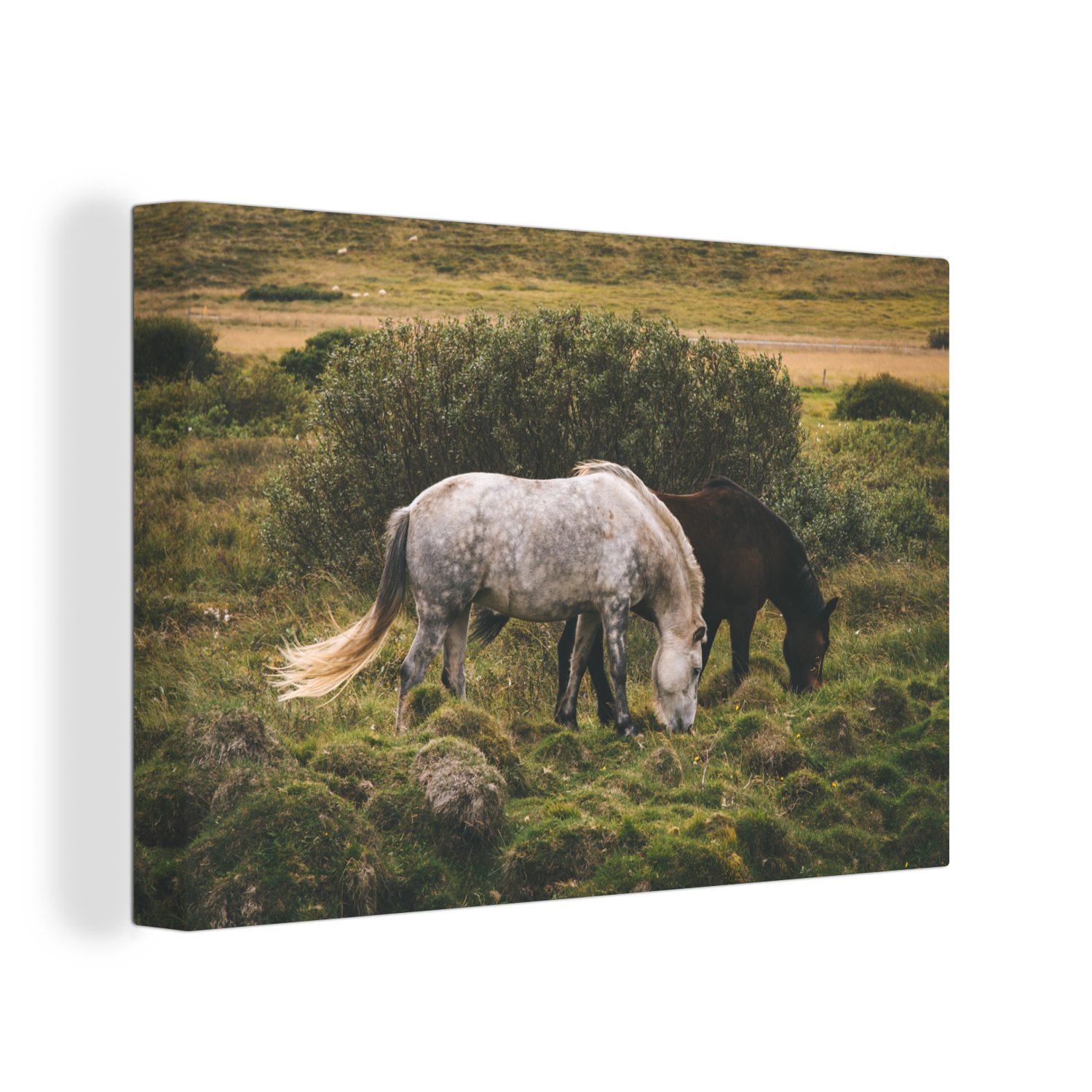 OneMillionCanvasses® Leinwandbild Pferde - Gras - Strauch, (1 St), Wandbild Leinwandbilder, Aufhängefertig, Wanddeko, 30x20 cm