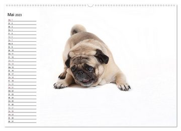 CALVENDO Wandkalender Mops - unwiderstehlich und charmant (Premium, hochwertiger DIN A2 Wandkalender 2023, Kunstdruck in Hochglanz)