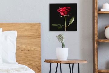 OneMillionCanvasses® Leinwandbild Eine rote Rose auf schwarzem Hintergrund, (1 St), Leinwand Bilder für Wohnzimmer Schlafzimmer