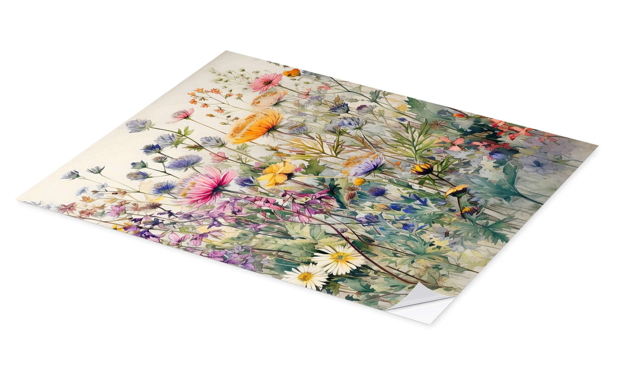 Posterlounge Poster Ryley Gray, Wildblumen II, günstig online kaufen