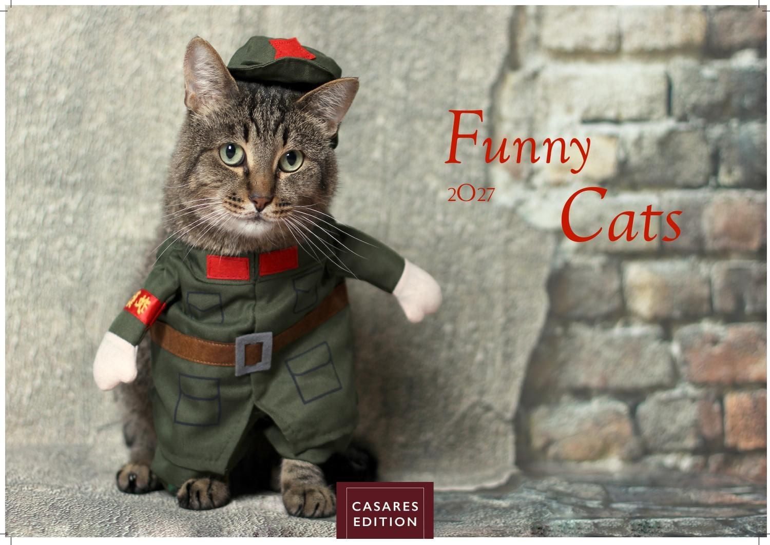 Wandkalender Funny Cats Kalender 2027 – Wandkalender, Fotokalender Tierkalender 24