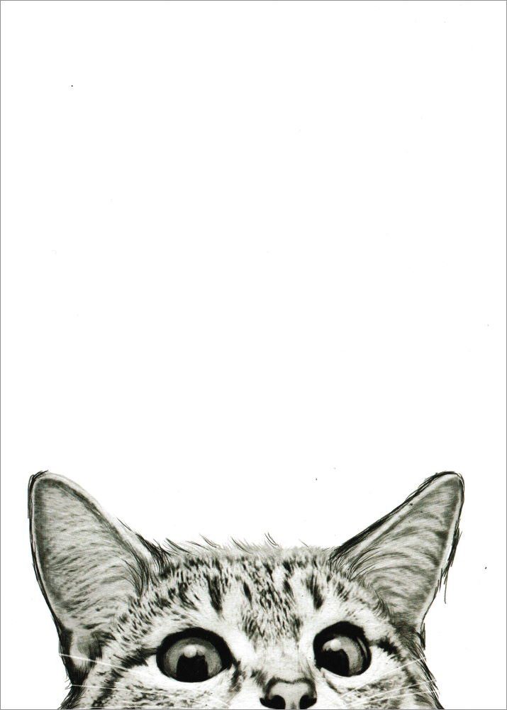 Postkarte Katze" - "Cat